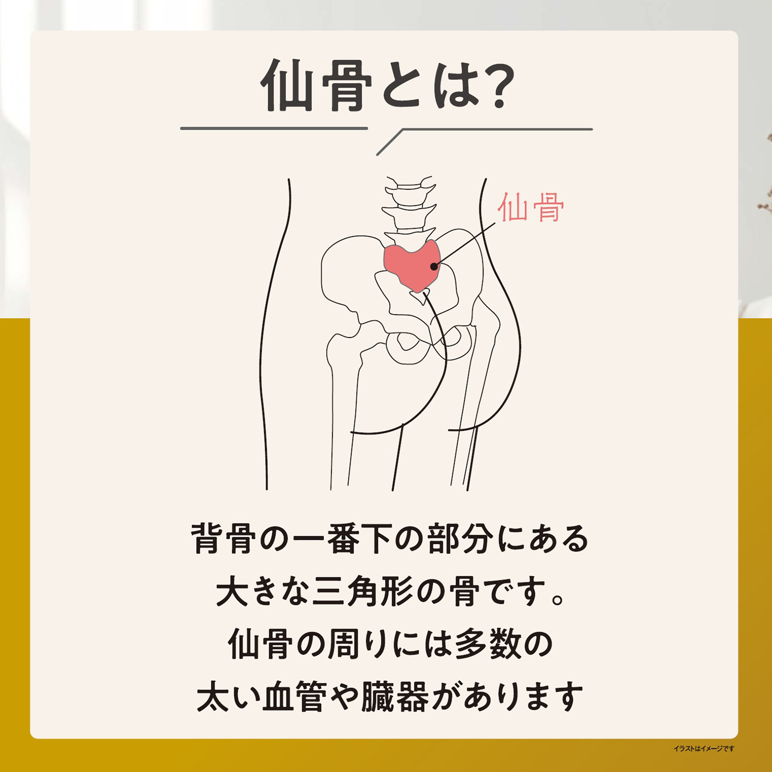 温活キュート お腹・腰周り・下腹部分が 三重であったかい！ ピーチ起毛 仙骨周り重点保温 五分丈ボトム　２色セット