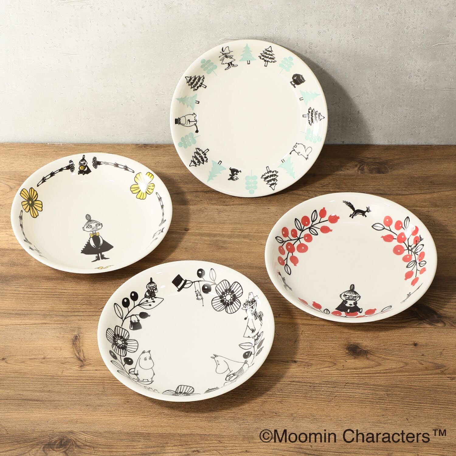 ムーミン ムーミンバレーシリーズ 日本製 パスタプレート４枚セット