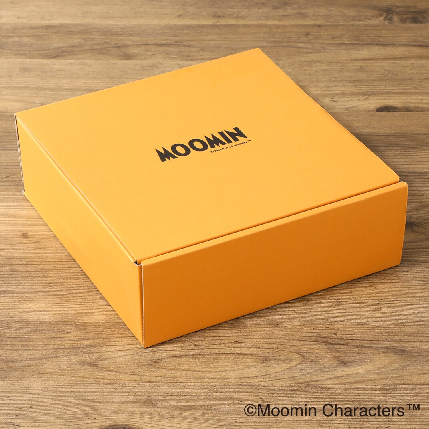 ムーミン ムーミンバレーシリーズ 日本製 パスタプレート４枚セット