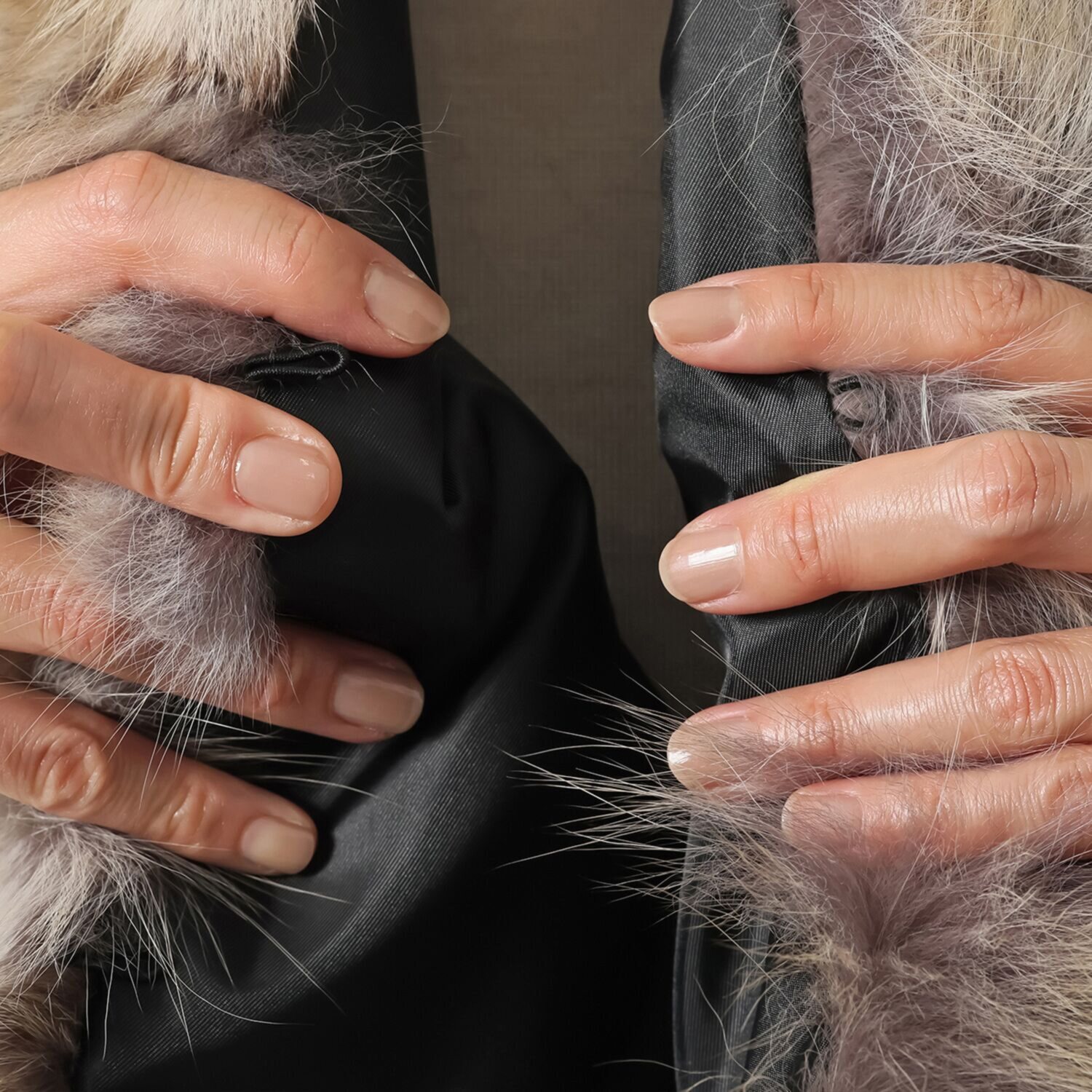 ブルーフォックス マフラー