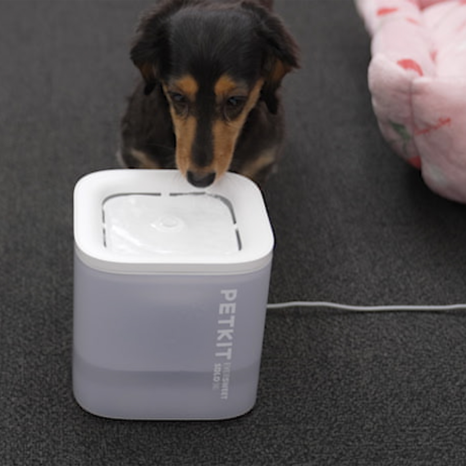 ＰＥＴＫＩＴ 噴水構造の自然な流水で 快適な水分補給を 愛猫・小型犬用 自動給水器