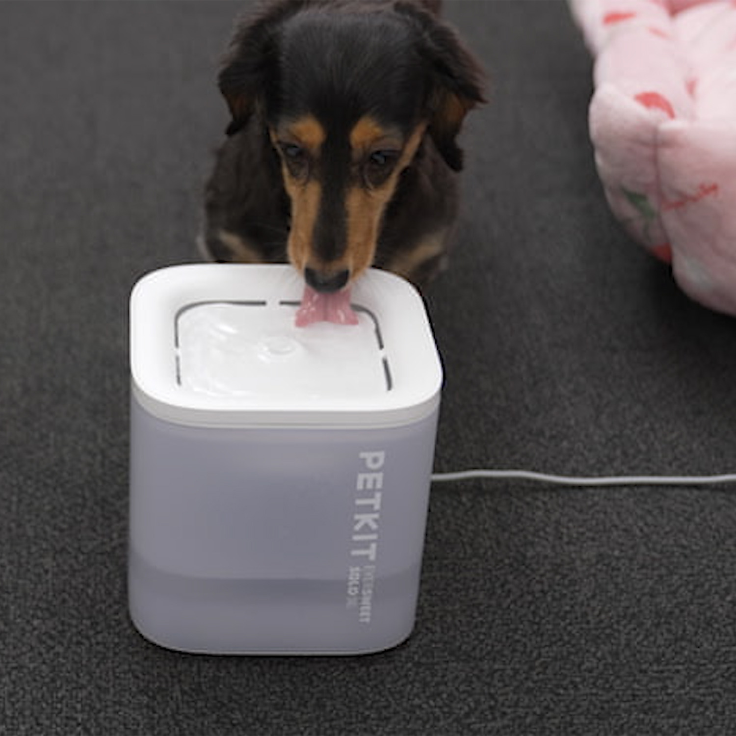 ＰＥＴＫＩＴ 噴水構造の自然な流水で 快適な水分補給を 愛猫・小型犬用 自動給水器
