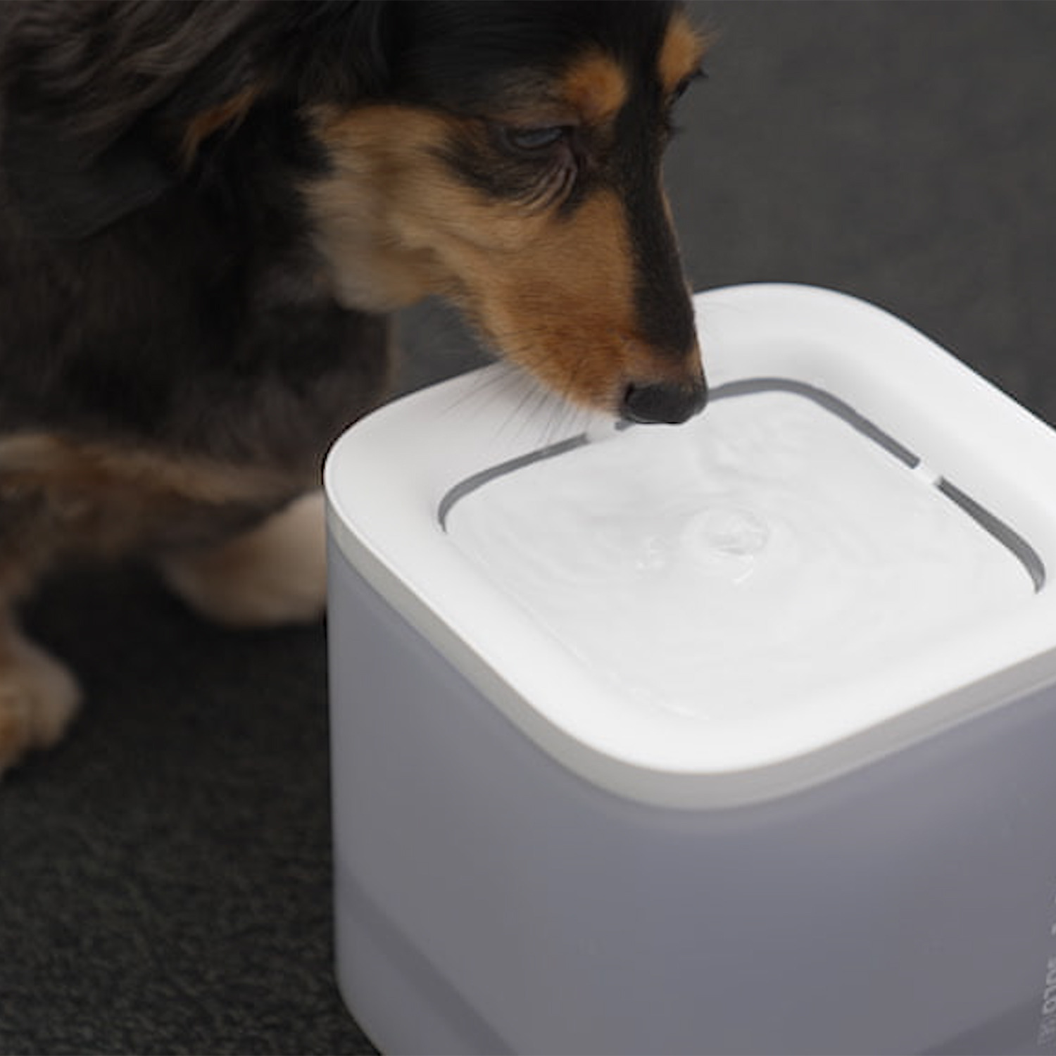 ＰＥＴＫＩＴ 噴水構造の自然な流水で 快適な水分補給を 愛猫・小型犬用 自動給水器