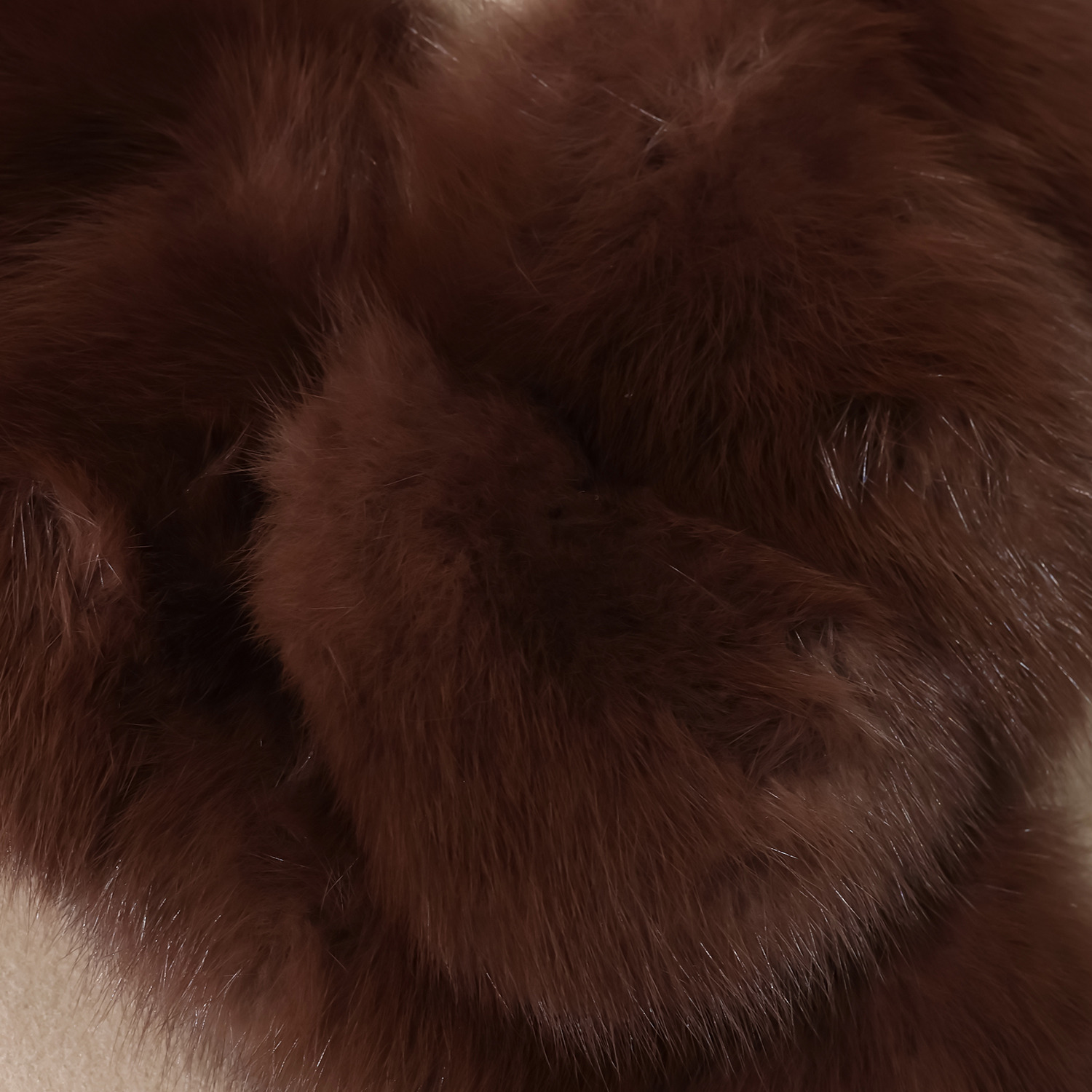 ロシアンセーブルカラー