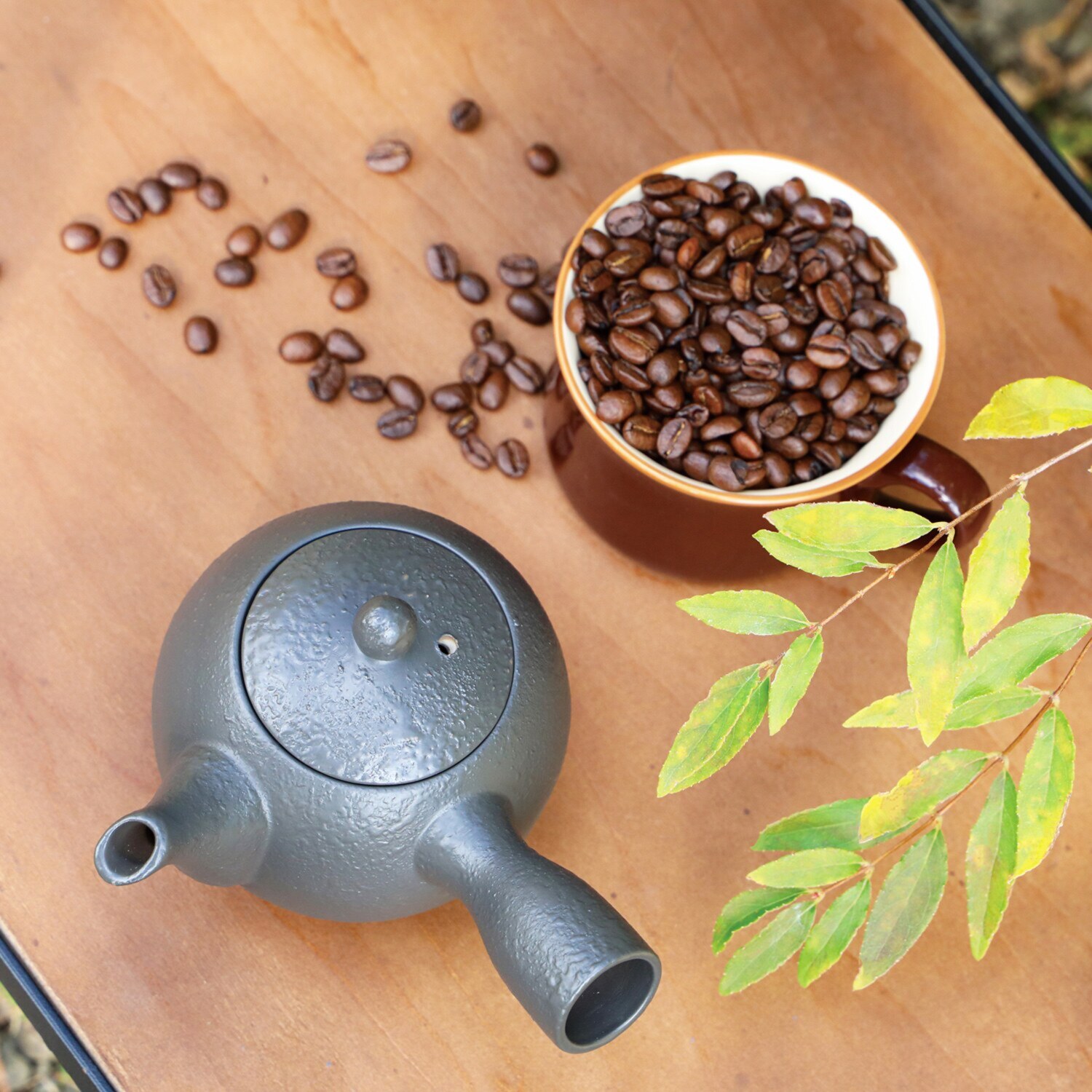 急須で手軽に 本格コーヒーを。 ２分待つだけ 常滑焼　珈琲急須 コースター付 特別セット