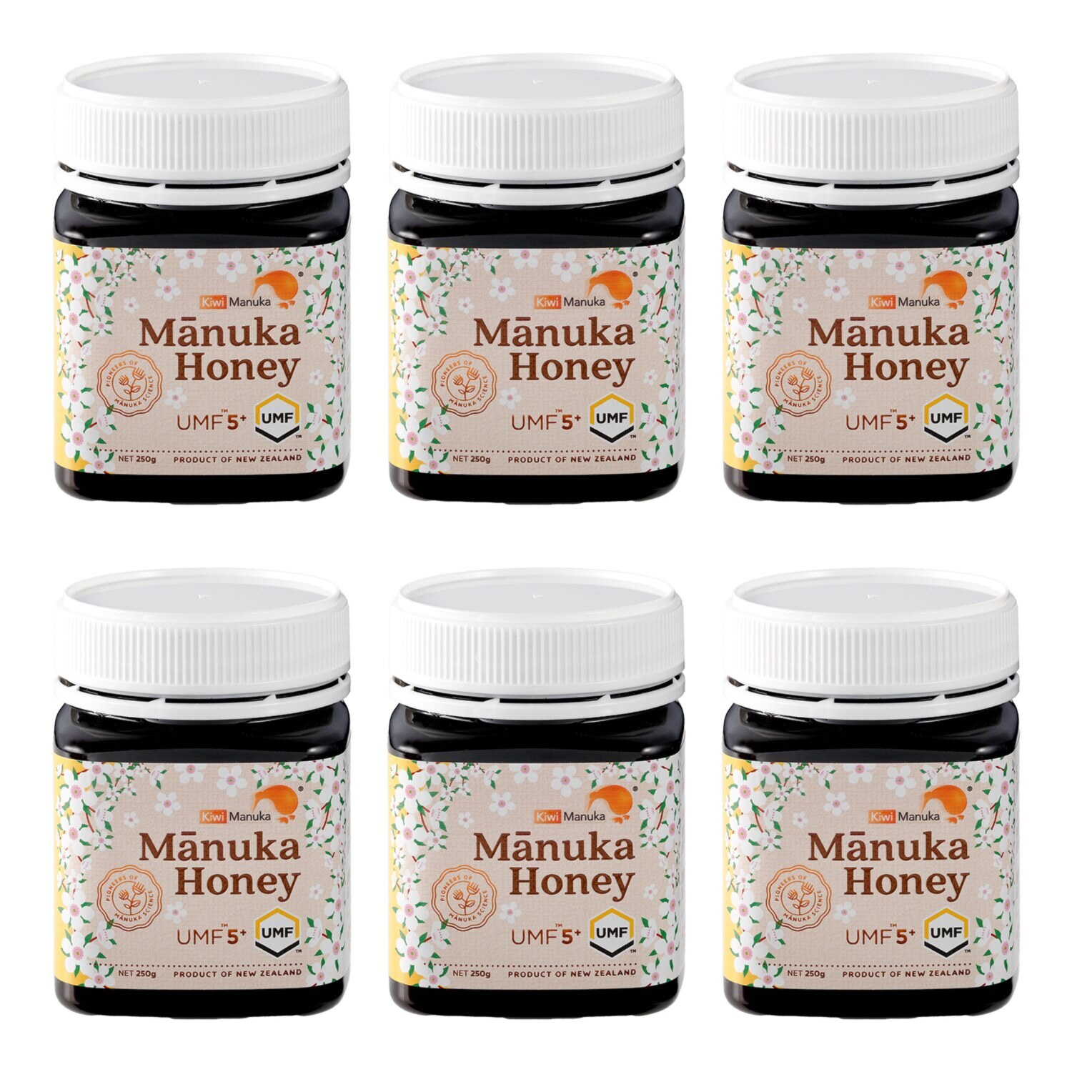 毎日の習慣に！ ニュージーランド産 マヌカハニー　ＵＭＦ５＋ ＜６個セット＞