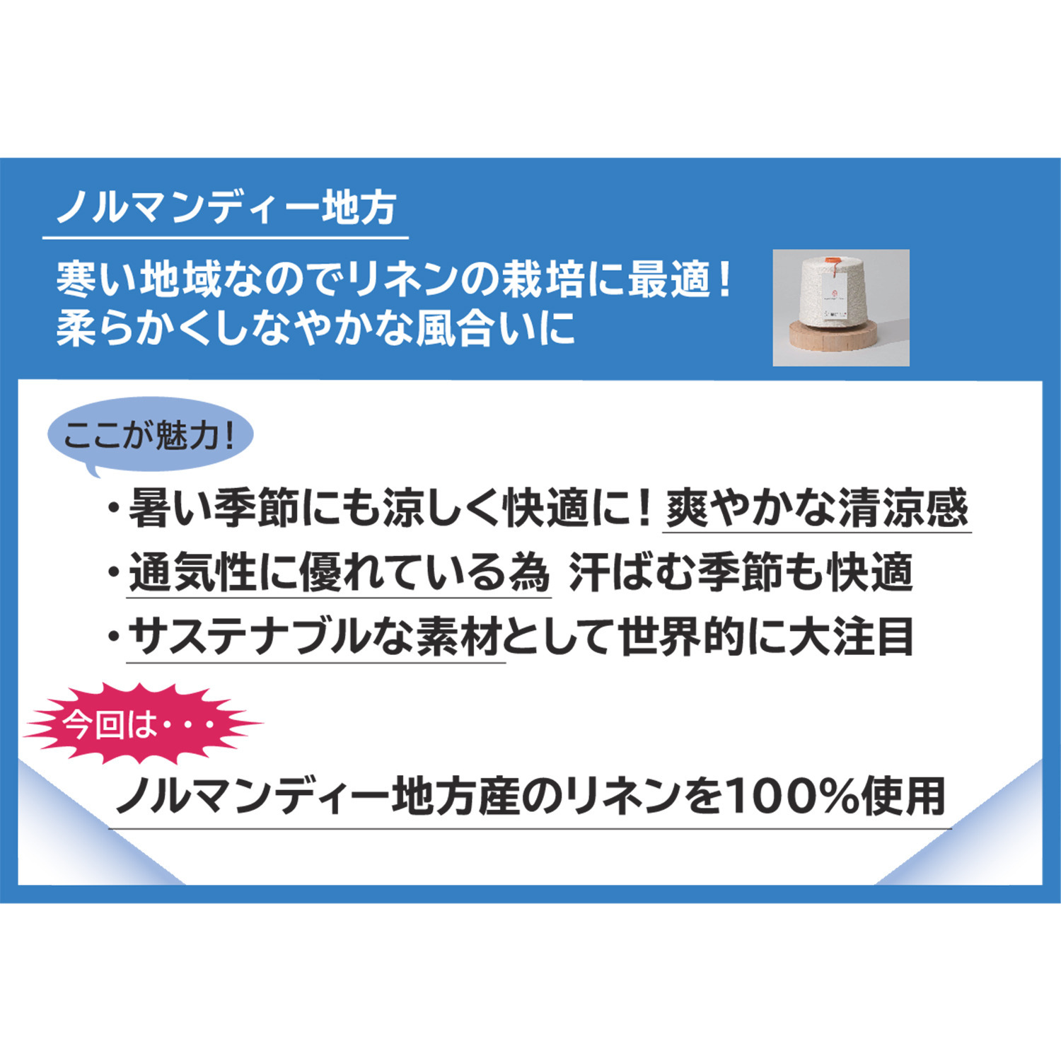 ソアージュ フレンチリネン１００％ リニフィッチオ社製糸使用 透かし柄ベスト