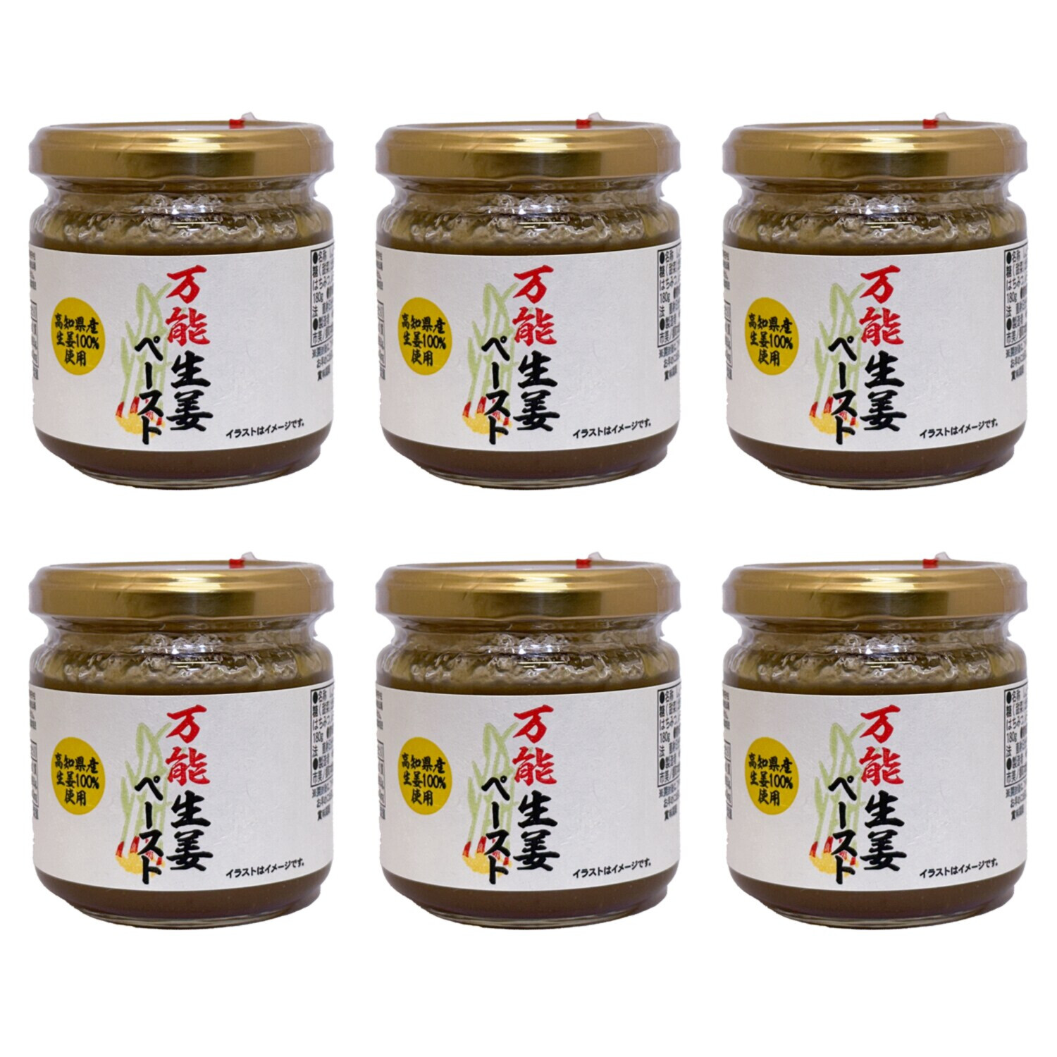 後味すっきり 高知生姜の 万能生姜ペースト