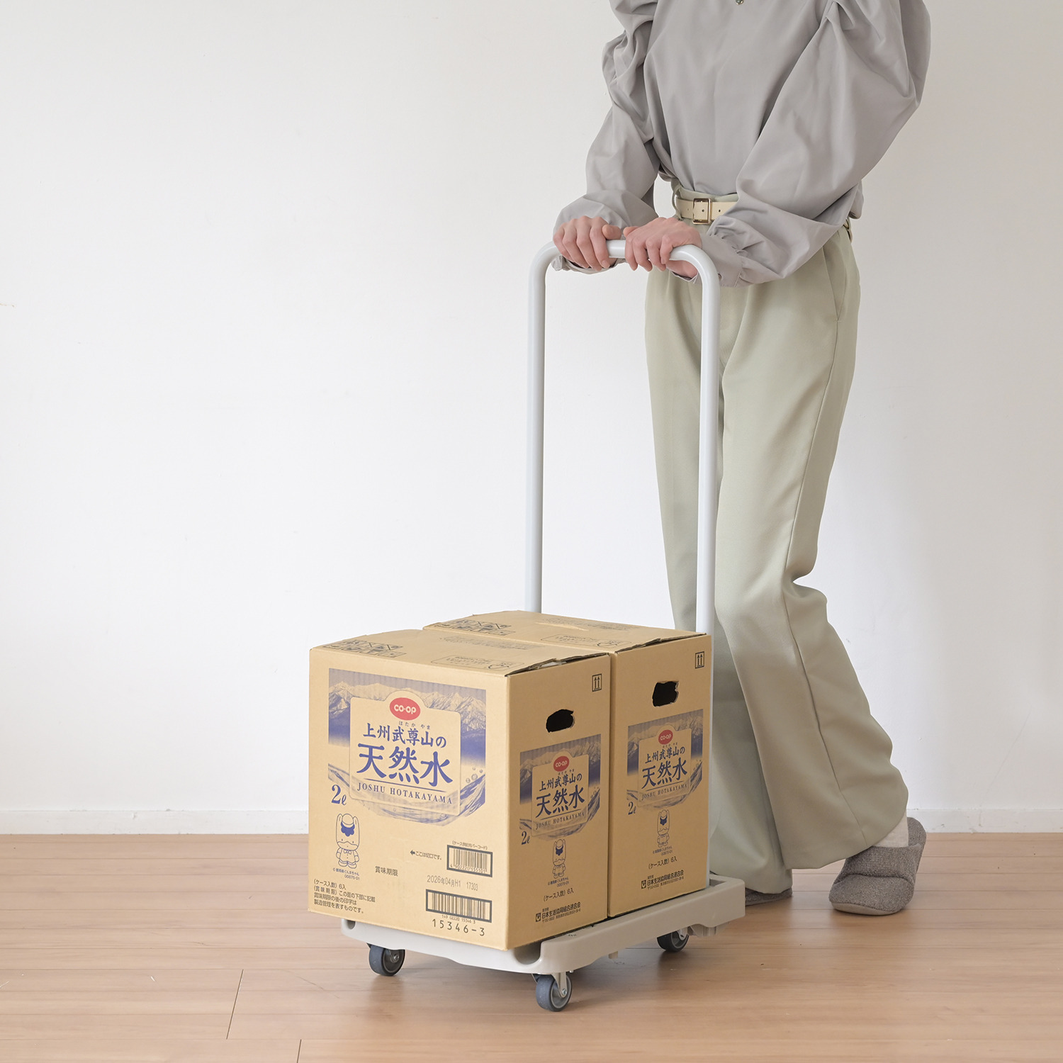 コンパクトで小回りが利く 日常生活の かわいい味方 お手軽キャリーカート スリム