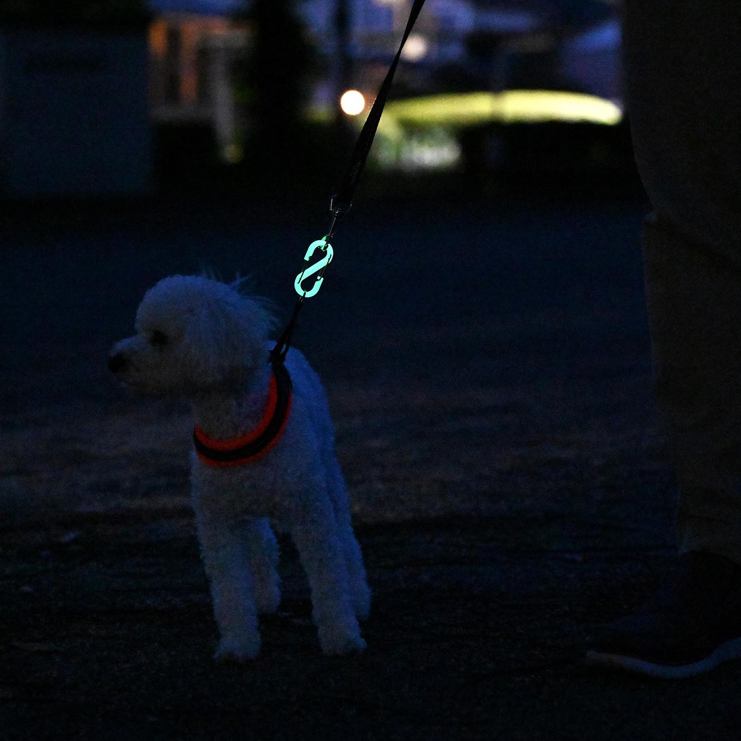 いざという時の目印に！ 光るカラビナ４個セット