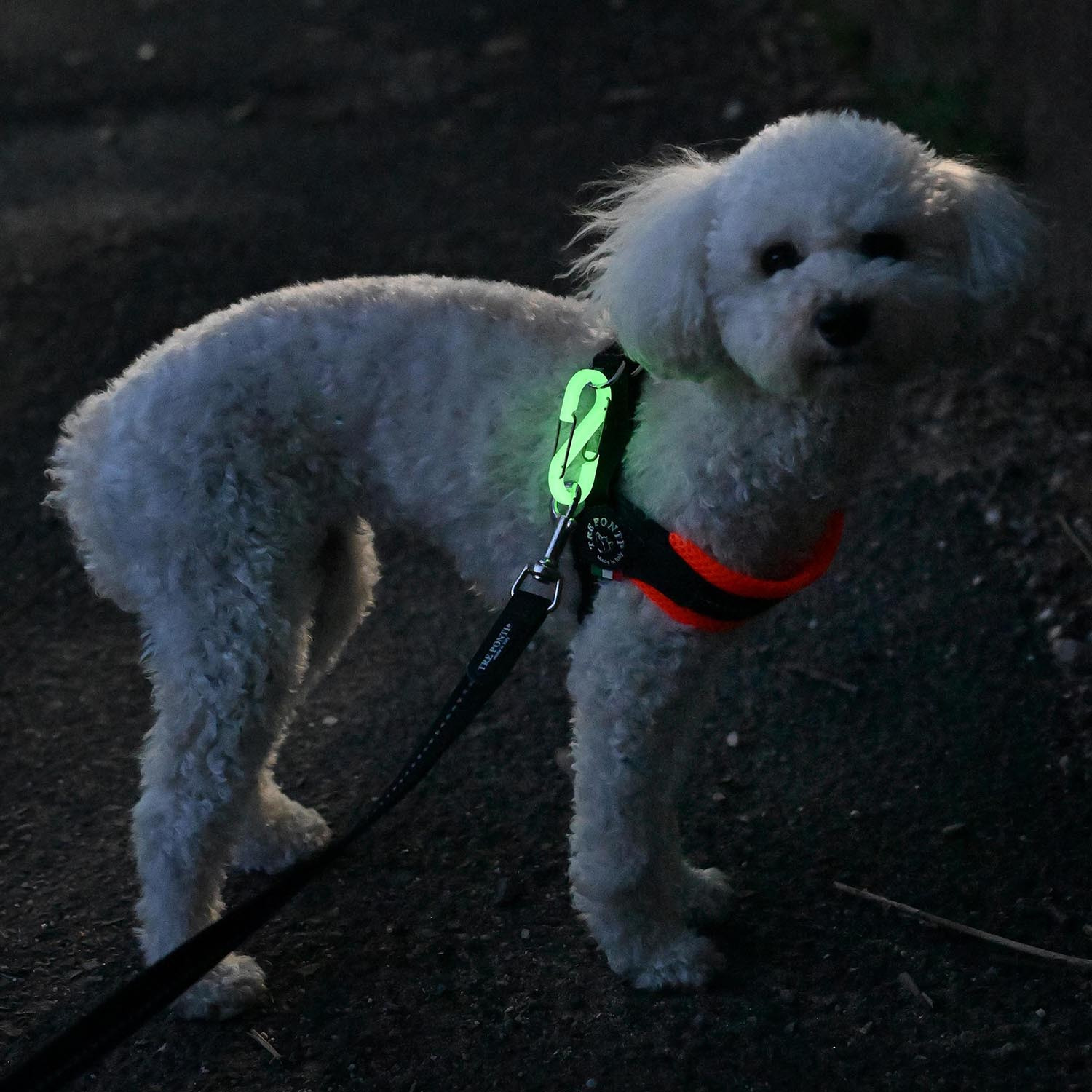 いざという時の目印に！ 光るカラビナ４個セット