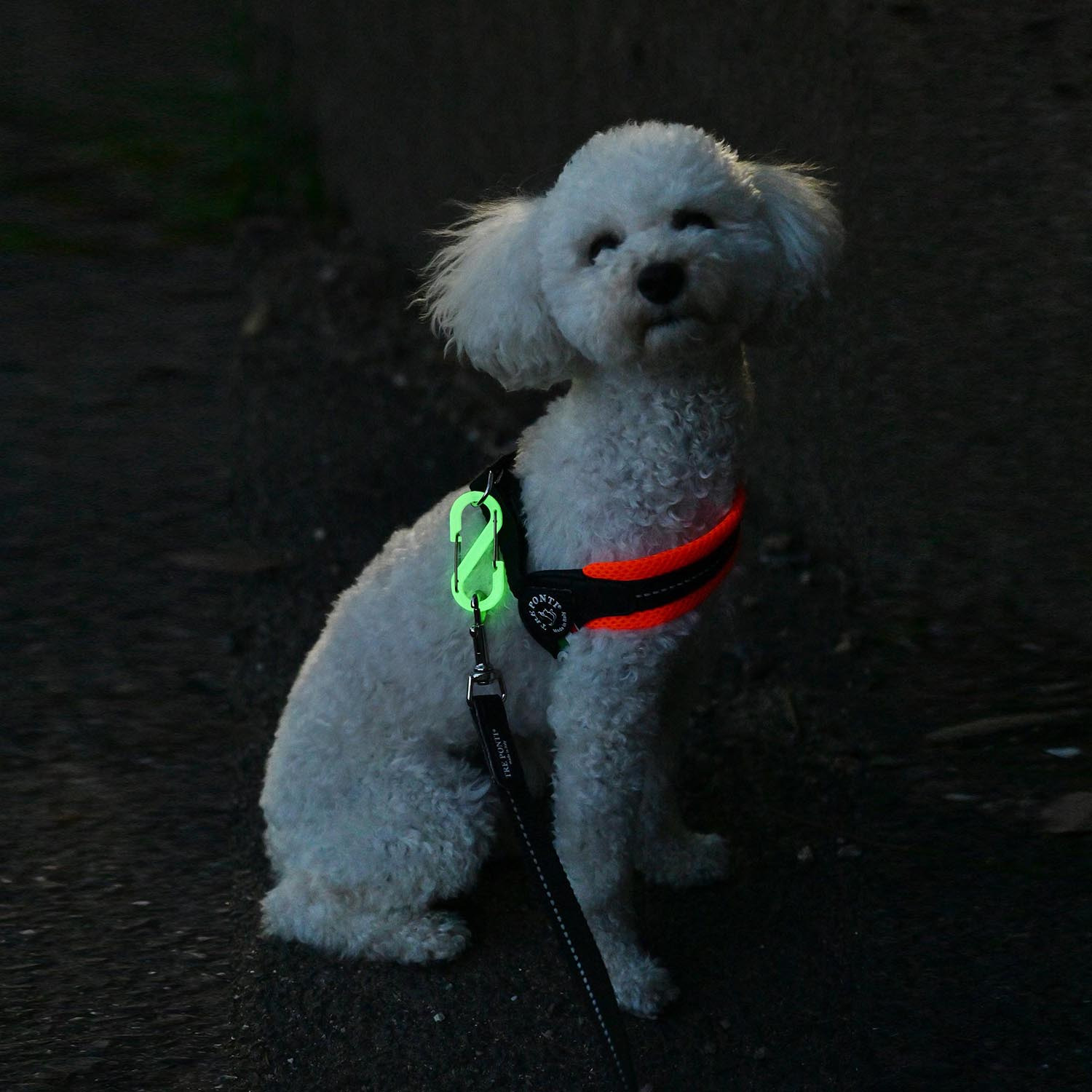 いざという時の目印に！ 光るカラビナ４個セット