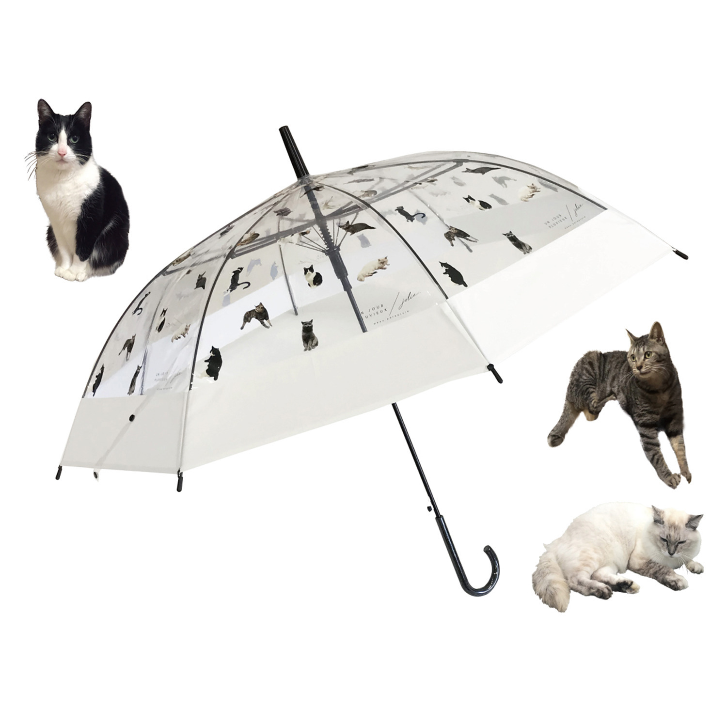 かわいい雑貨屋さん グロリア ＥＶＡ切り継ぎ 転写プリント ビニール傘 ＜親骨６０ｃｍ＞