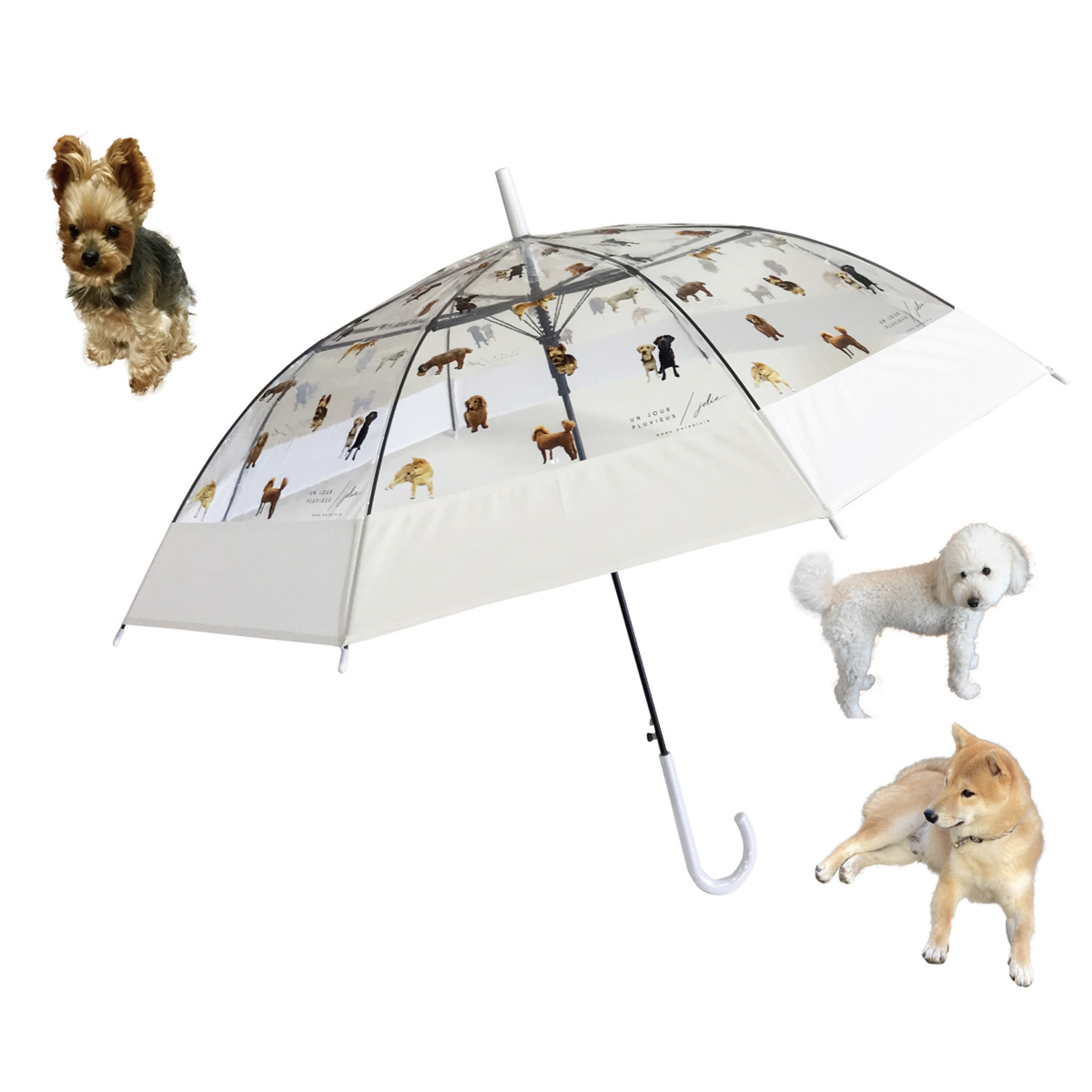 かわいい雑貨屋さん グロリア ＥＶＡ切り継ぎ 転写プリント ビニール傘 ＜親骨６０ｃｍ＞