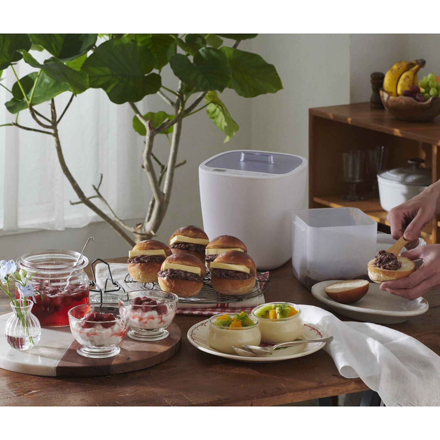 ビタントニオ 毎日摂りたい 発酵食品をこれ１台で！ 低温調理も楽しめる 発酵メーカー 特別セット