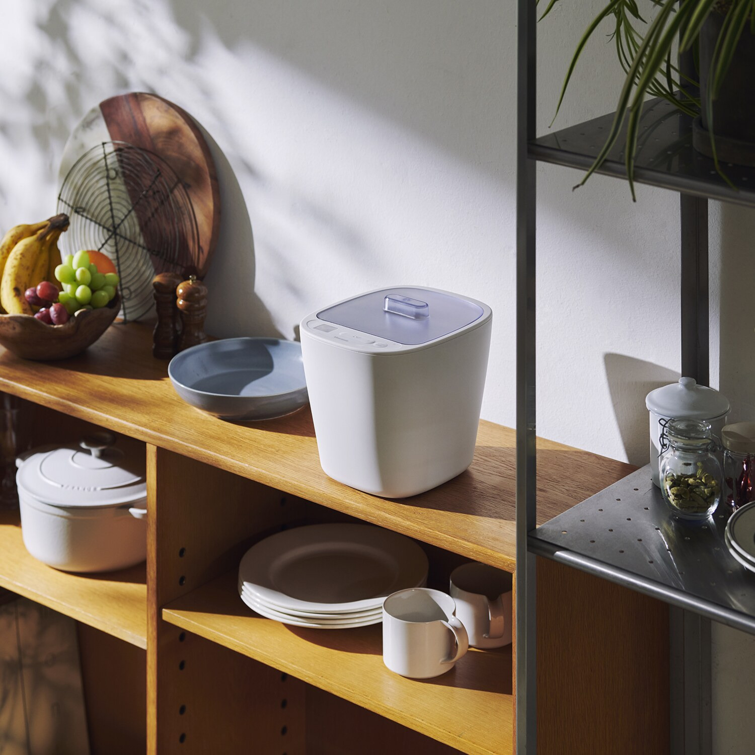 ビタントニオ 毎日摂りたい 発酵食品をこれ１台で！ 低温調理も楽しめる 発酵メーカー 特別セット