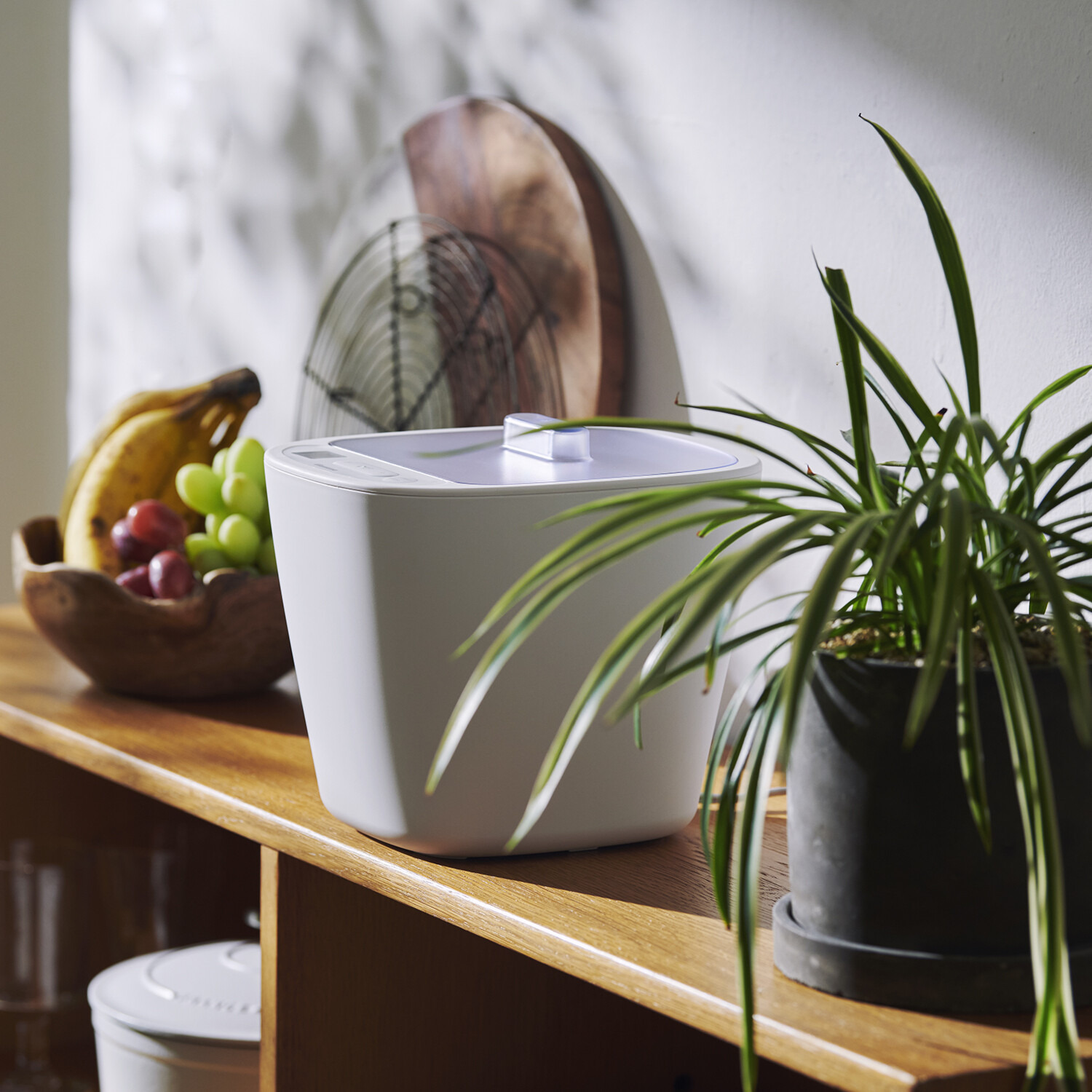 ビタントニオ 毎日摂りたい 発酵食品をこれ１台で！ 低温調理も楽しめる 発酵メーカー 特別セット