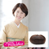 アートネイチャー　ＪＯ スタイルに合わせて タテヨコ斜め自由に装着！ 人毛１００％使用 ポイントタイプウィッグ クロスフリー