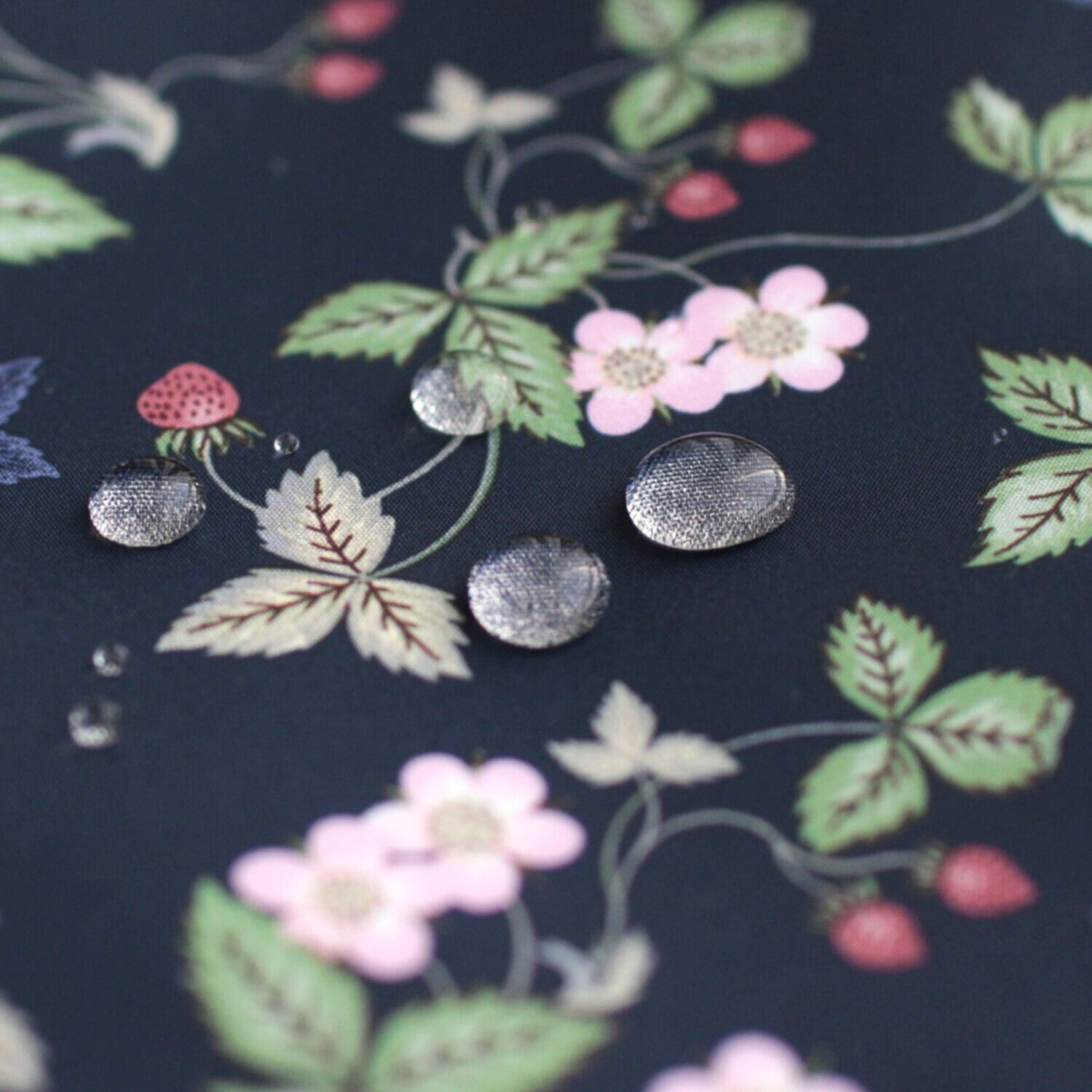 ウェッジウッド ワイルドストロベリー はっ水生地使用 仕分け機能＆底板付き 保冷ポケッタブルバッグ