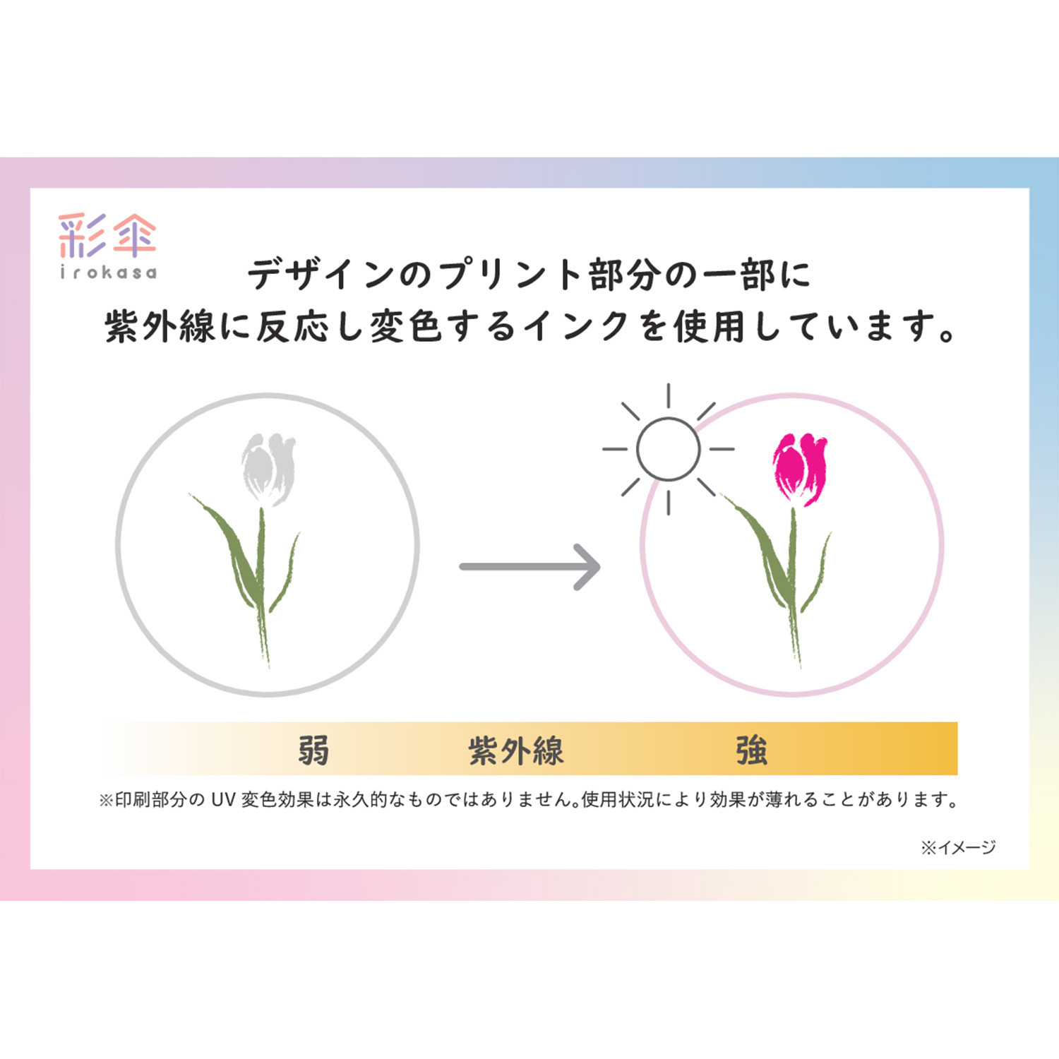 彩傘 紫外線で色が変わる！ 晴雨兼用 折りたたみ傘２本セット