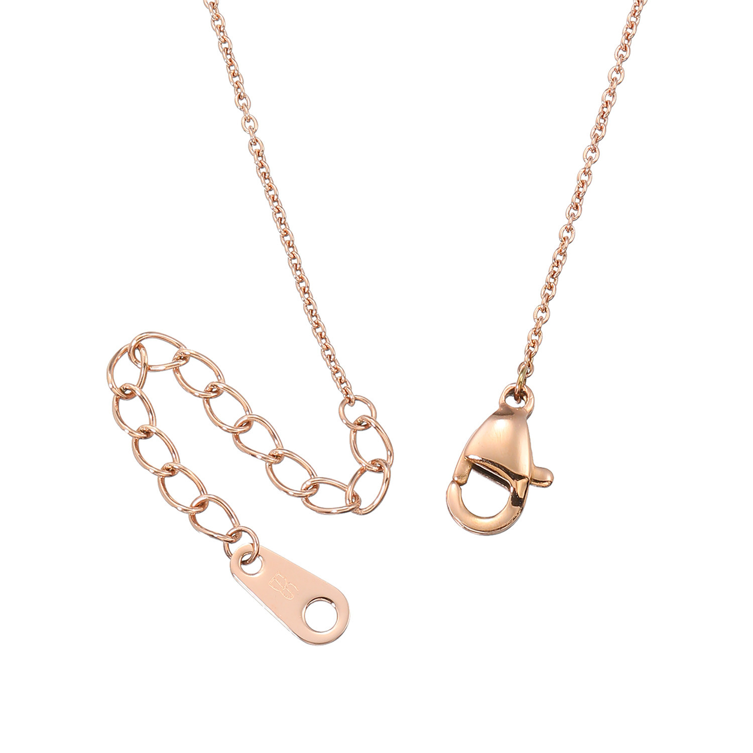 デイスティー サージカルステンレス プレシオサ社製ＣＺ シンプルネックレス