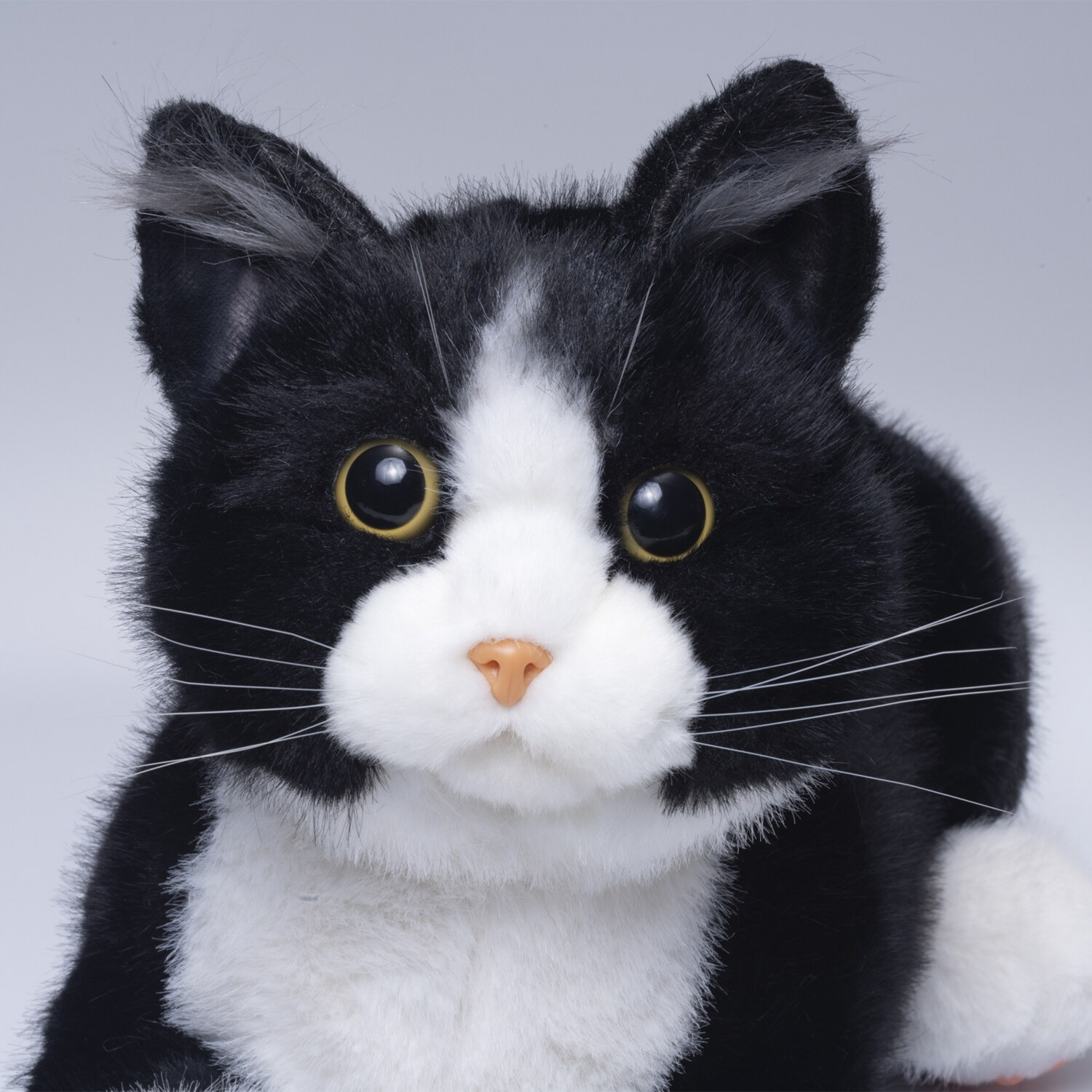 ペットのように 鳴いて応えてくれる なでなでねこちゃんＥＸ ＜短毛タイプ＞