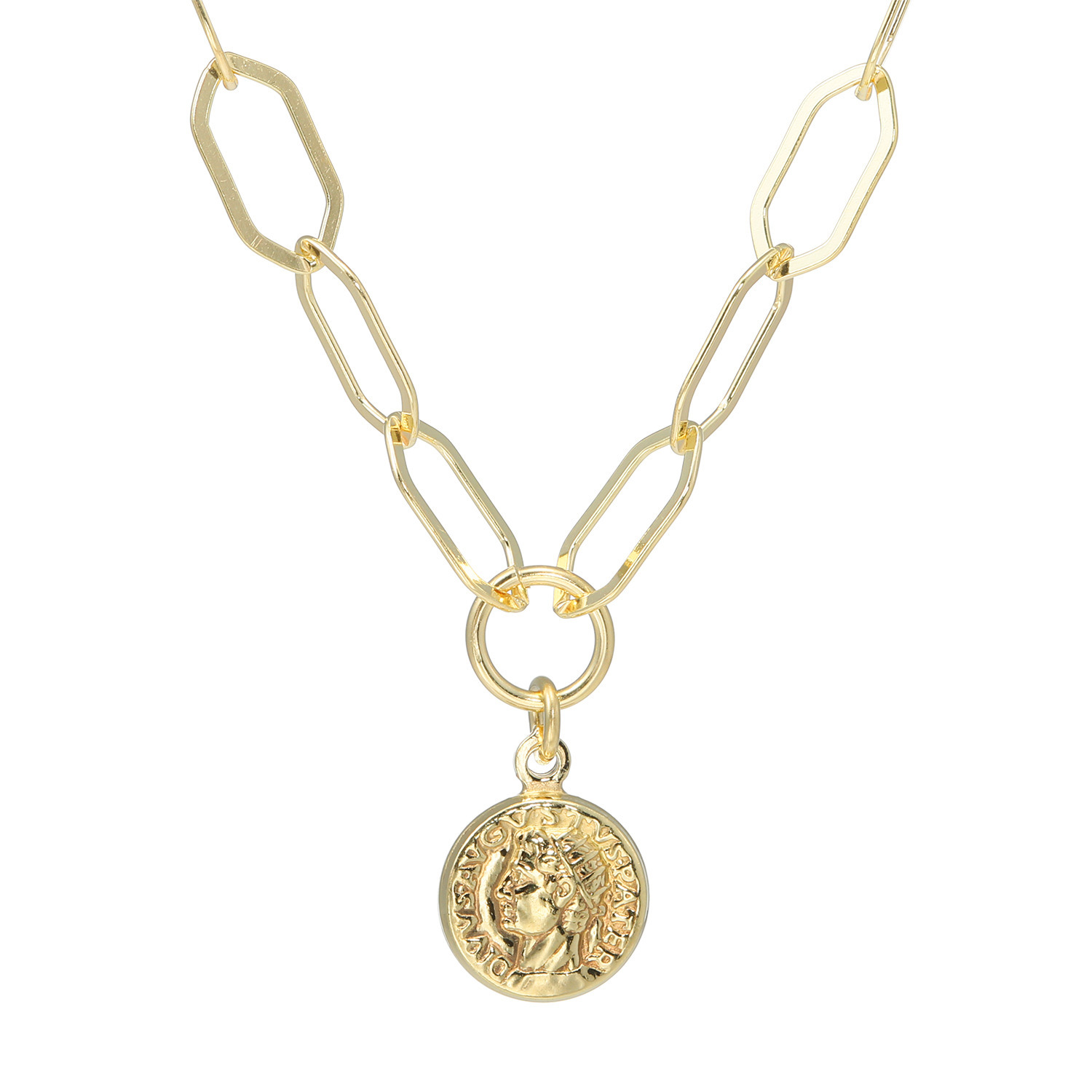 アルジェント イタリアーノ シルバー コインチャームネックレス