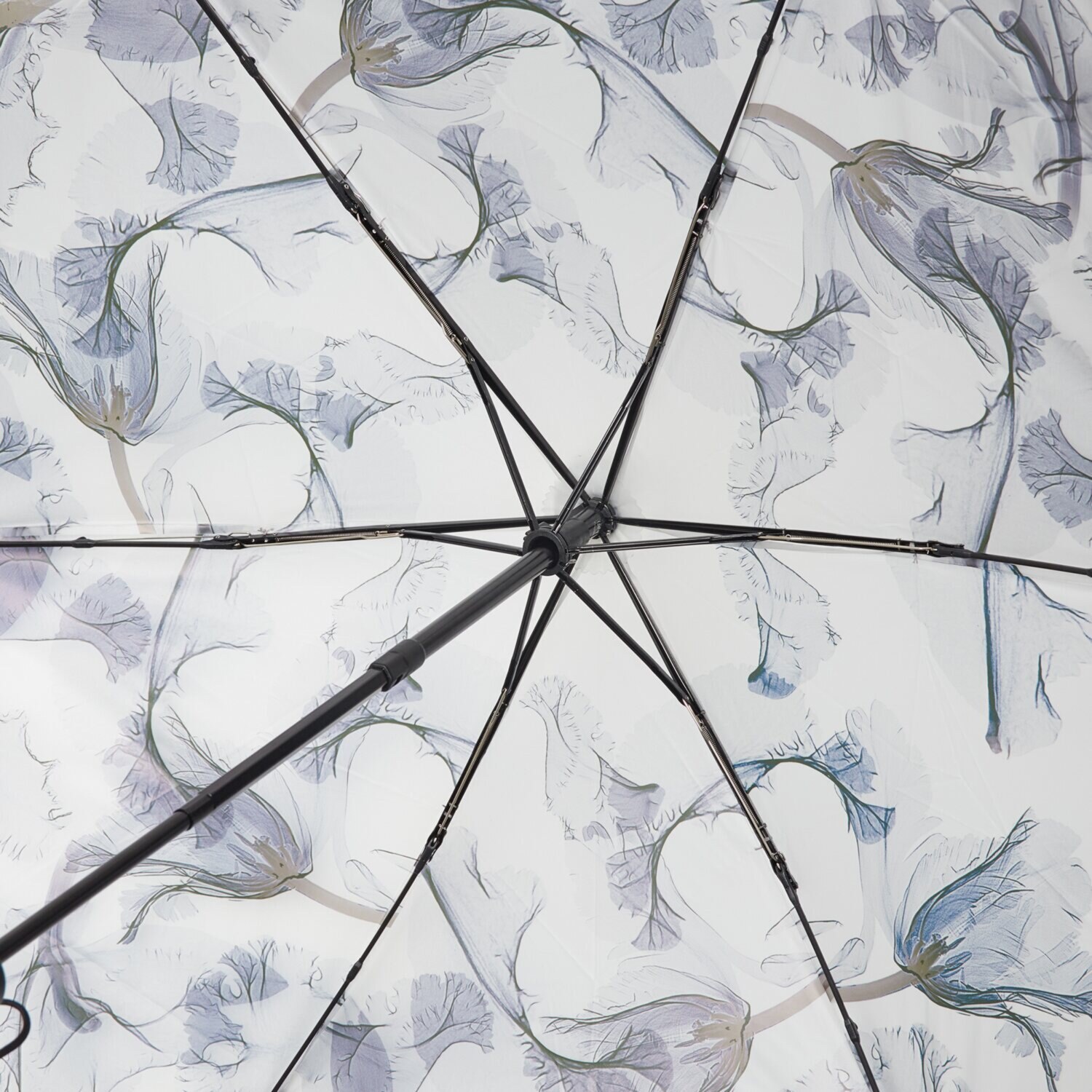 ウォーターフロント× ｍｅｍｏｒｉｆ． 自動開閉 折りたたみ傘