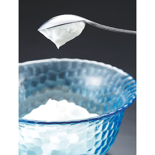 新越 水切りヨーグルトポット