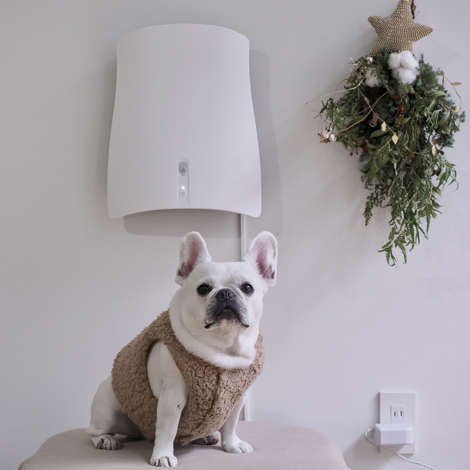 サンスター 除菌脱臭機 クワイスエアー ０４Ａ１Ｊ−ＯＷ ３０日間お試し返品保証