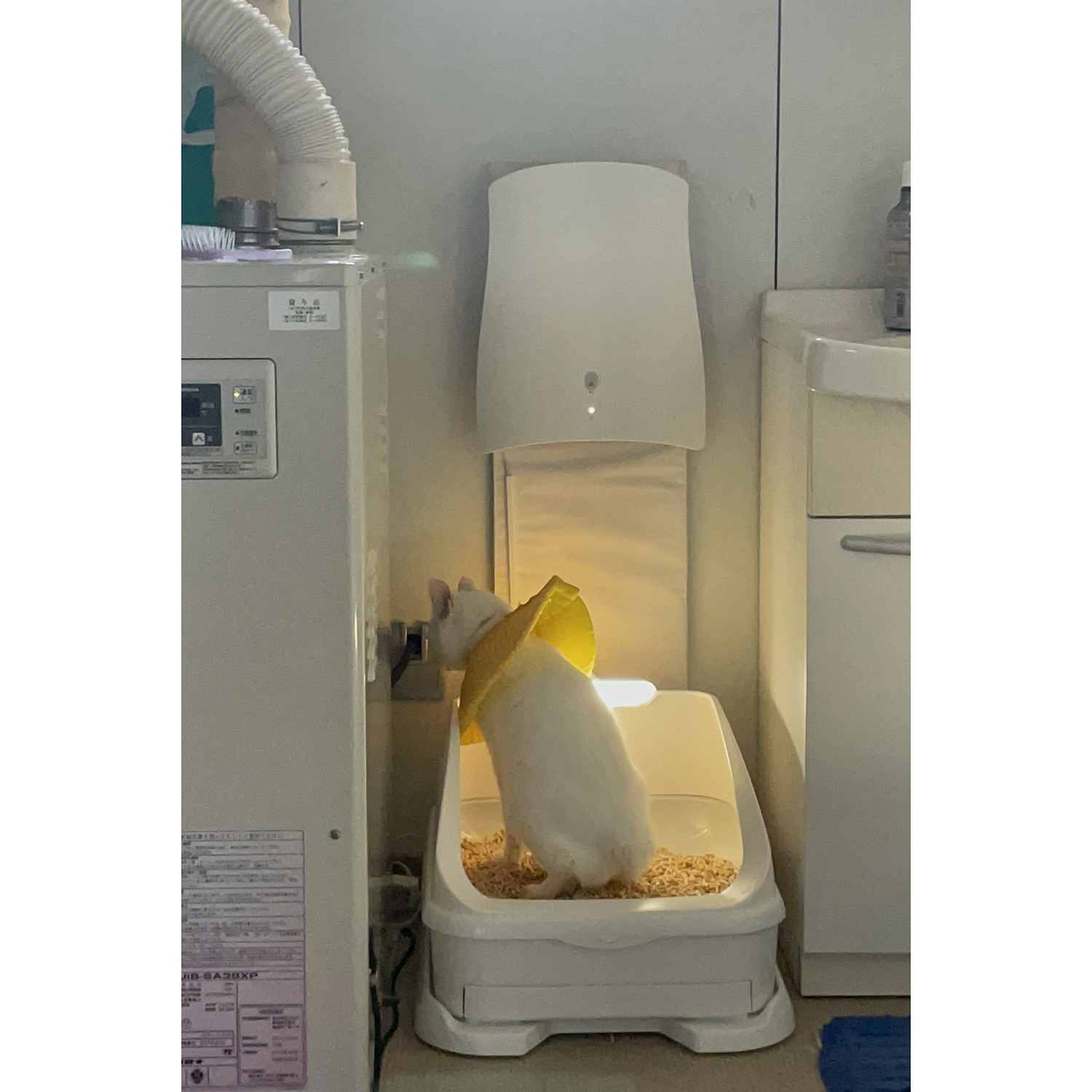 サンスター 除菌脱臭機 クワイスエアー ０４Ａ１Ｊ−ＯＷ ３０日間お試し返品保証