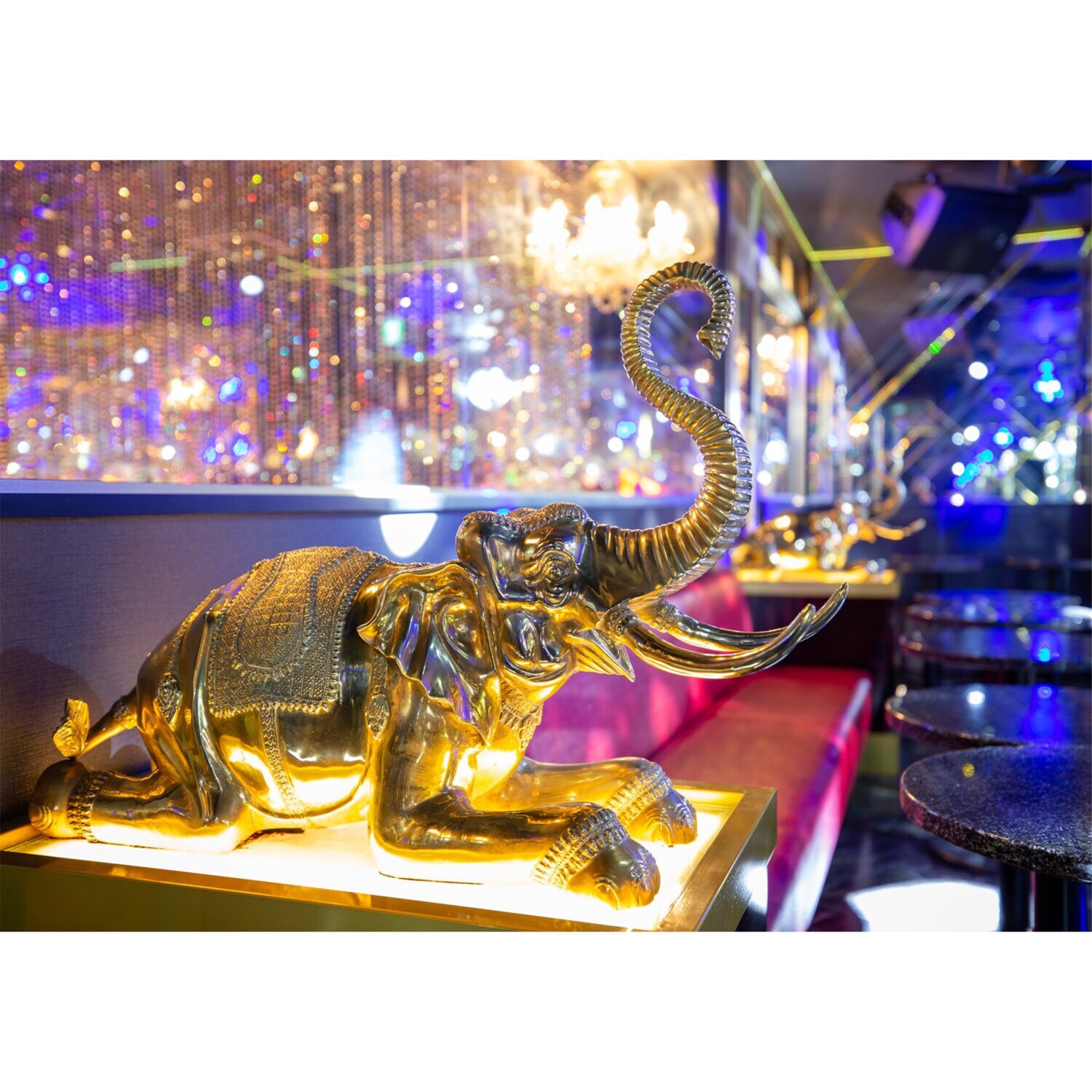 ディスコで一緒に踊ろう 懐かしの曲でフィーバー！ マハラジャ六本木 ショップチャンネル 貸切りチケット ＜４月２５日開催＞ 