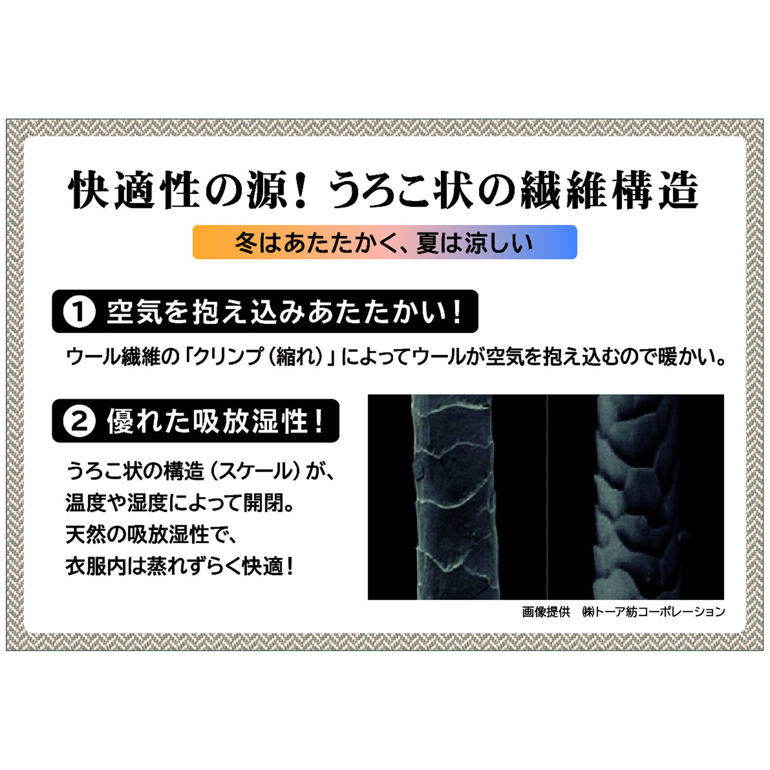 ヘ・エラ 日本製 抗菌防臭・消臭・吸湿発熱 極上メリノウール１００％ タンクトップ