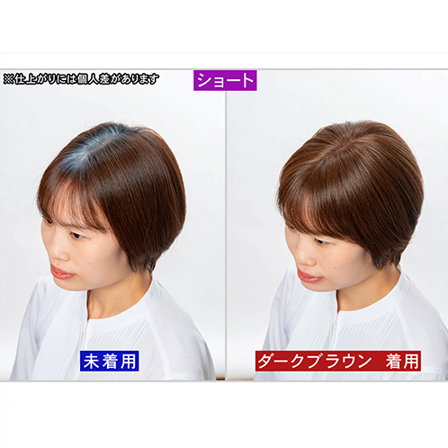 ぺスカ ビューティーサロン発 クリップ不要！白髪特化型 簡単キレイボリューム演出 ポイントウィッグ “チャチャ”＜ショート＞ ケアスプレー＆ コーム＆ポーチ付きセット