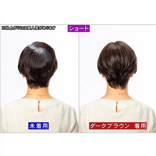 ぺスカ ビューティーサロン発 クリップ不要！白髪特化型 簡単キレイボリューム演出 ポイントウィッグ “チャチャ”＜ショート＞ ケアスプレー＆ コーム＆ポーチ付きセット