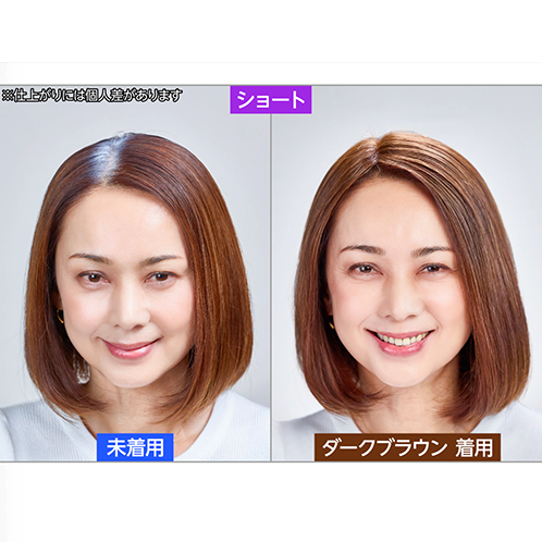 ぺスカ ビューティーサロン発 クリップ不要！白髪特化型 簡単キレイボリューム演出 ポイントウィッグ “チャチャ”＜ショート＞ ケアスプレー＆ コーム＆ポーチ付きセット