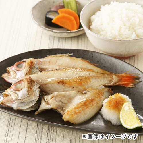 濃厚な旨み！ 山陰沖のどぐろの干物 （不揃い）
