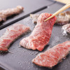エバークックデコ 食卓で味わう感動グリル！ ２面調理も片面調理もＯＫ それぞれ温度調節もできる ホットプレート デュオグリル ＨＰＹ−１２１
