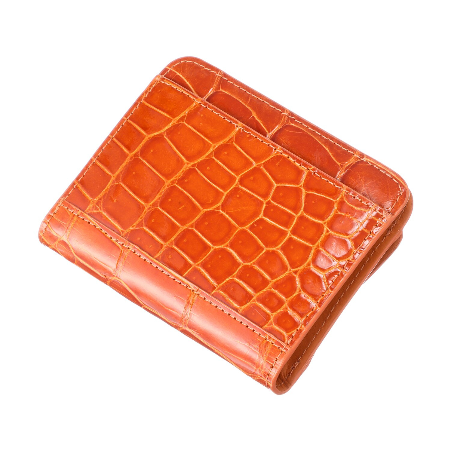 シャイニングクロコダイル コンパクトウォレット