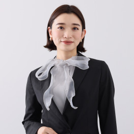ドンナルマ 重ねて楽しむ スタンドカラー シアーリボンつけ襟