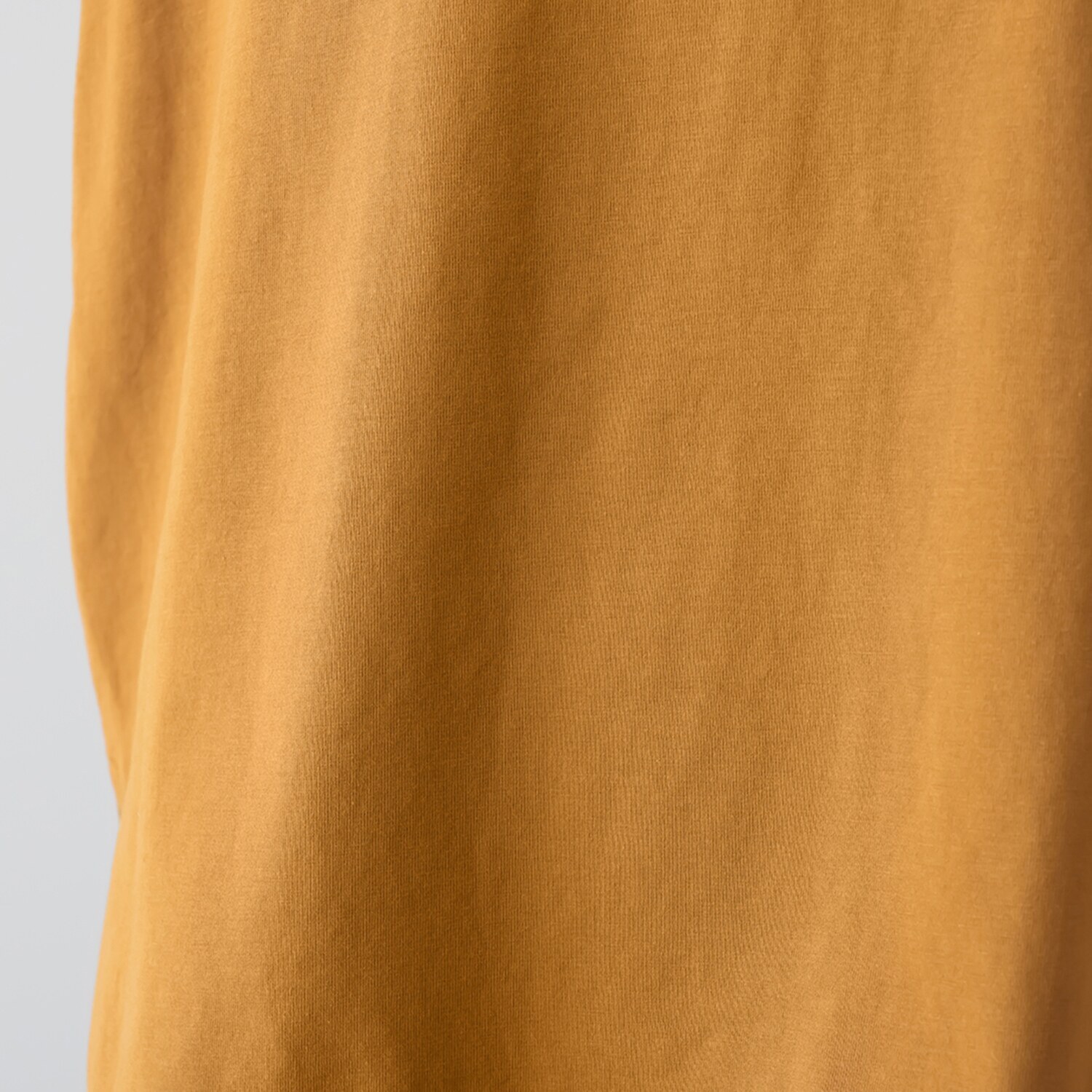 エイジャ 重ね着でも１枚でも サマになる 洗練チュールレイヤード カットソー