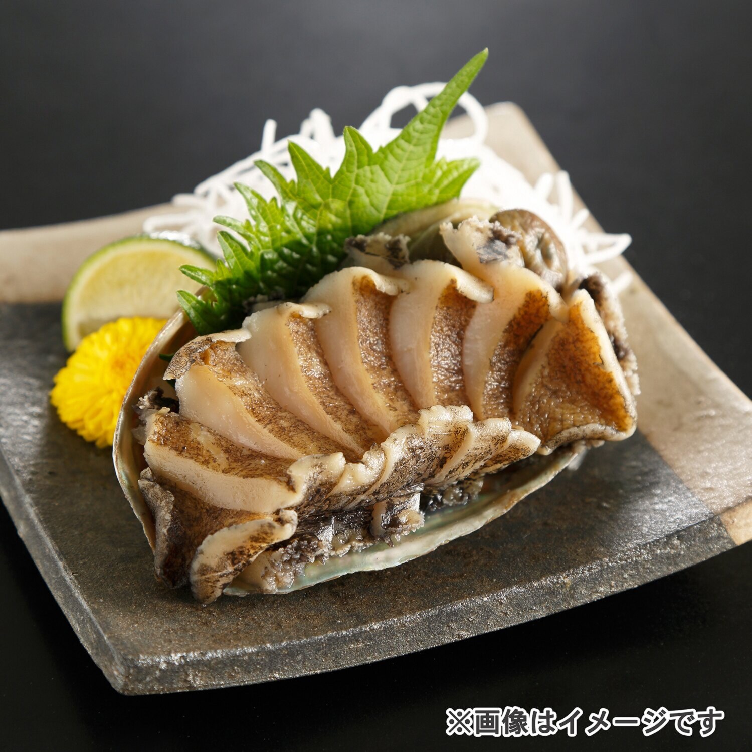 やわらか蝦夷あわび １０個セット