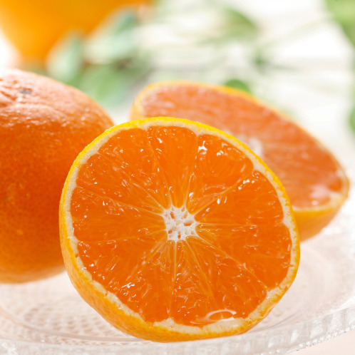 長崎県産 早生みかん"大地一号" 長崎県産 早生みかん"大地一号"