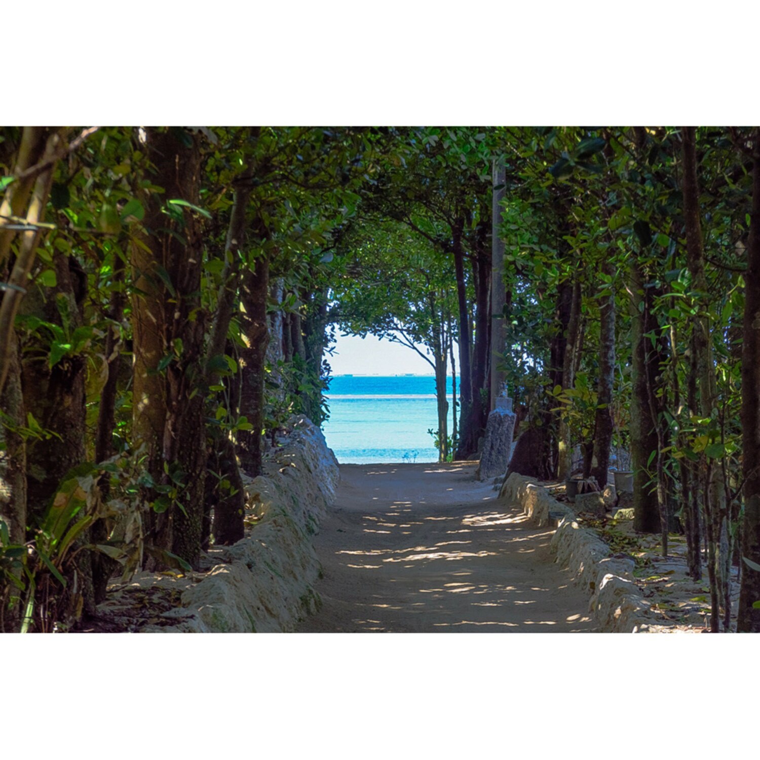 大人時間を愉しむ 南国美ら旅 沖縄４日間 ２名１室 ＜福岡空港発着＞