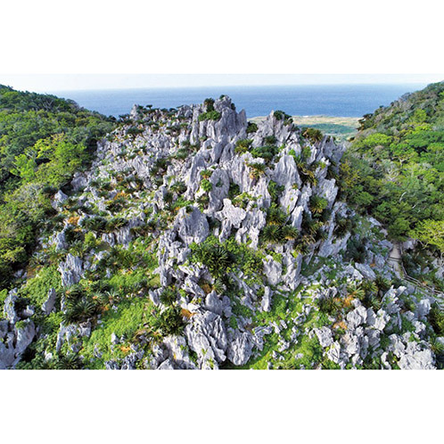 大人時間を愉しむ 南国美ら旅 沖縄４日間 ２名１室 ＜福岡空港発着＞