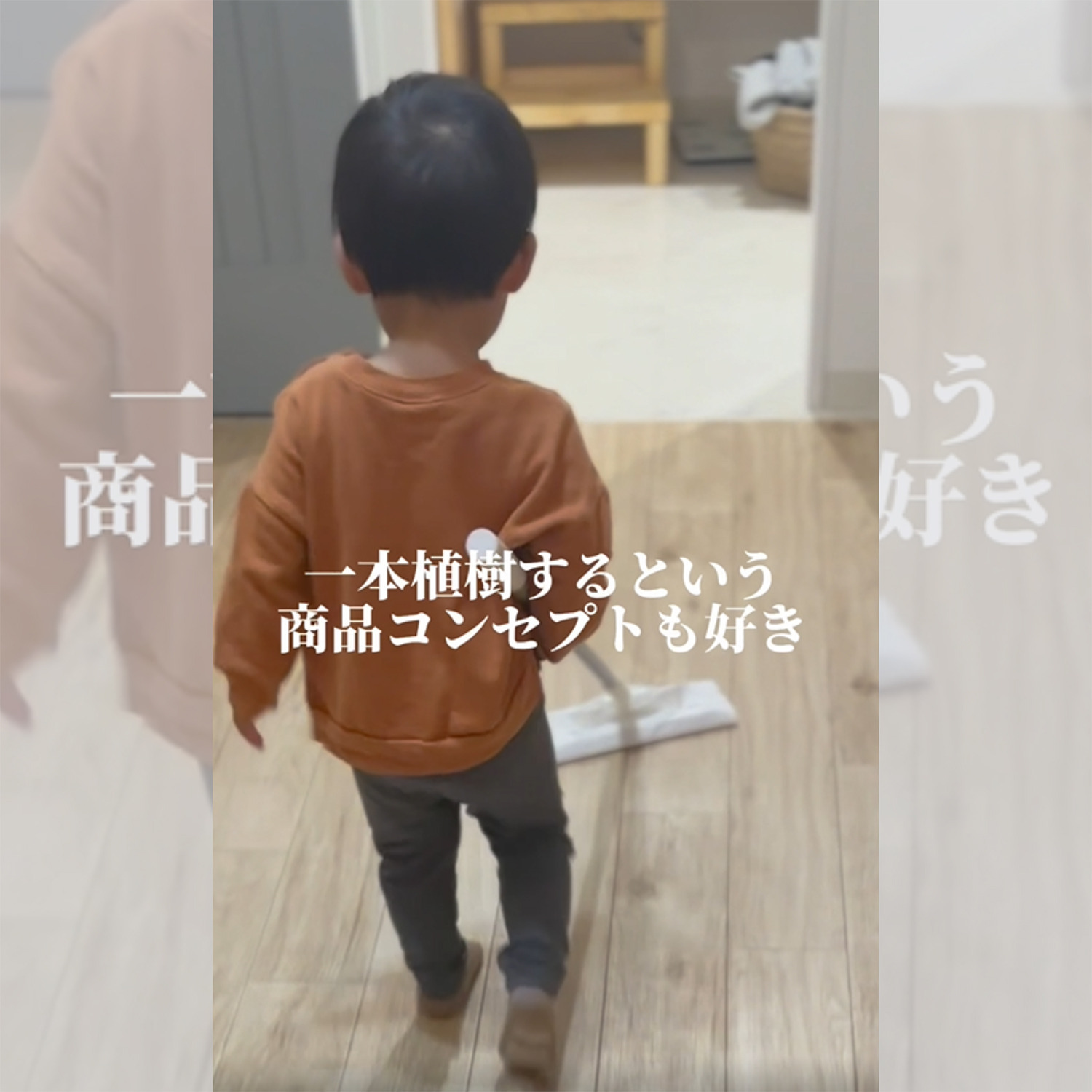洗える丈夫なロールクロス バンブーイー ＜３本セット＞