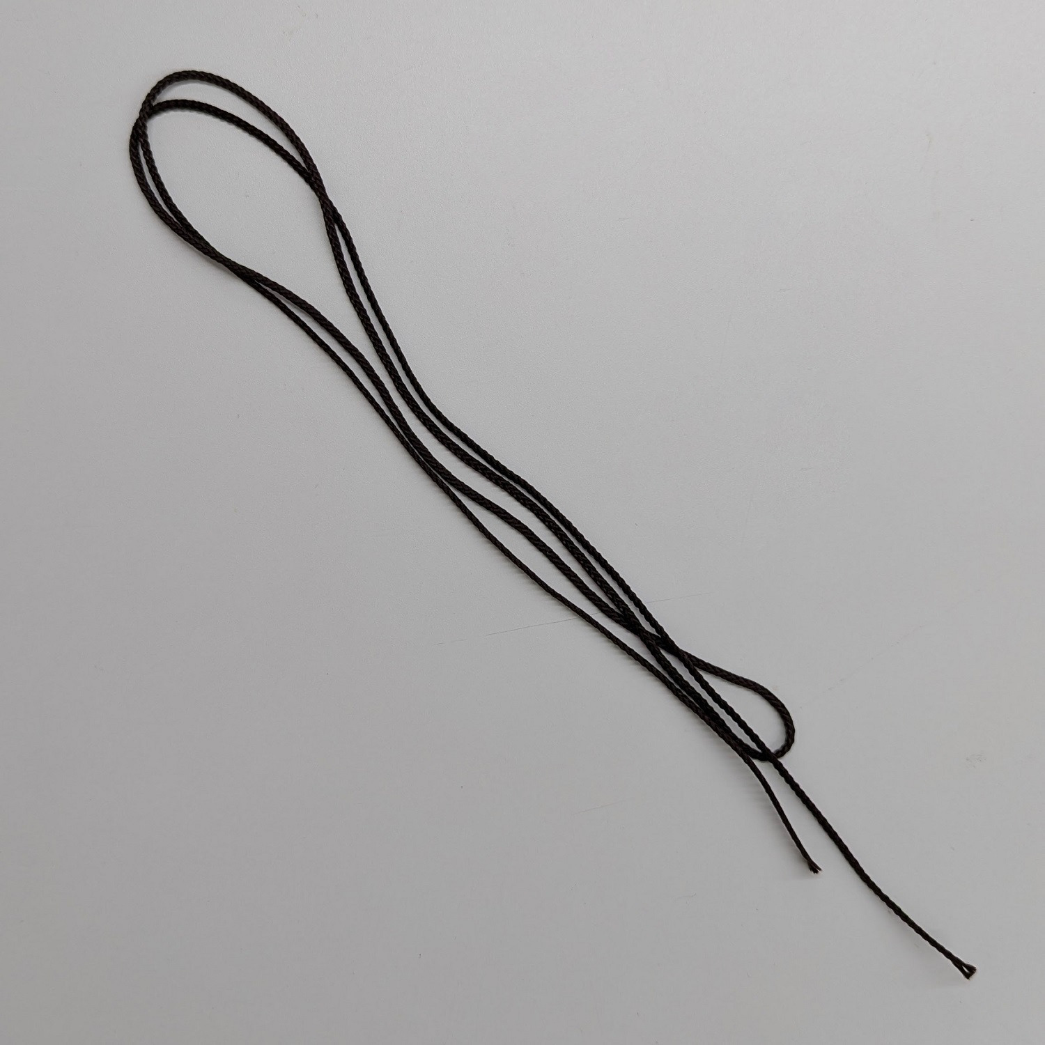 Ｘ　Ｒａｙ キャンバスアート リーフ３ ＜約２１×３１ｃｍ＞