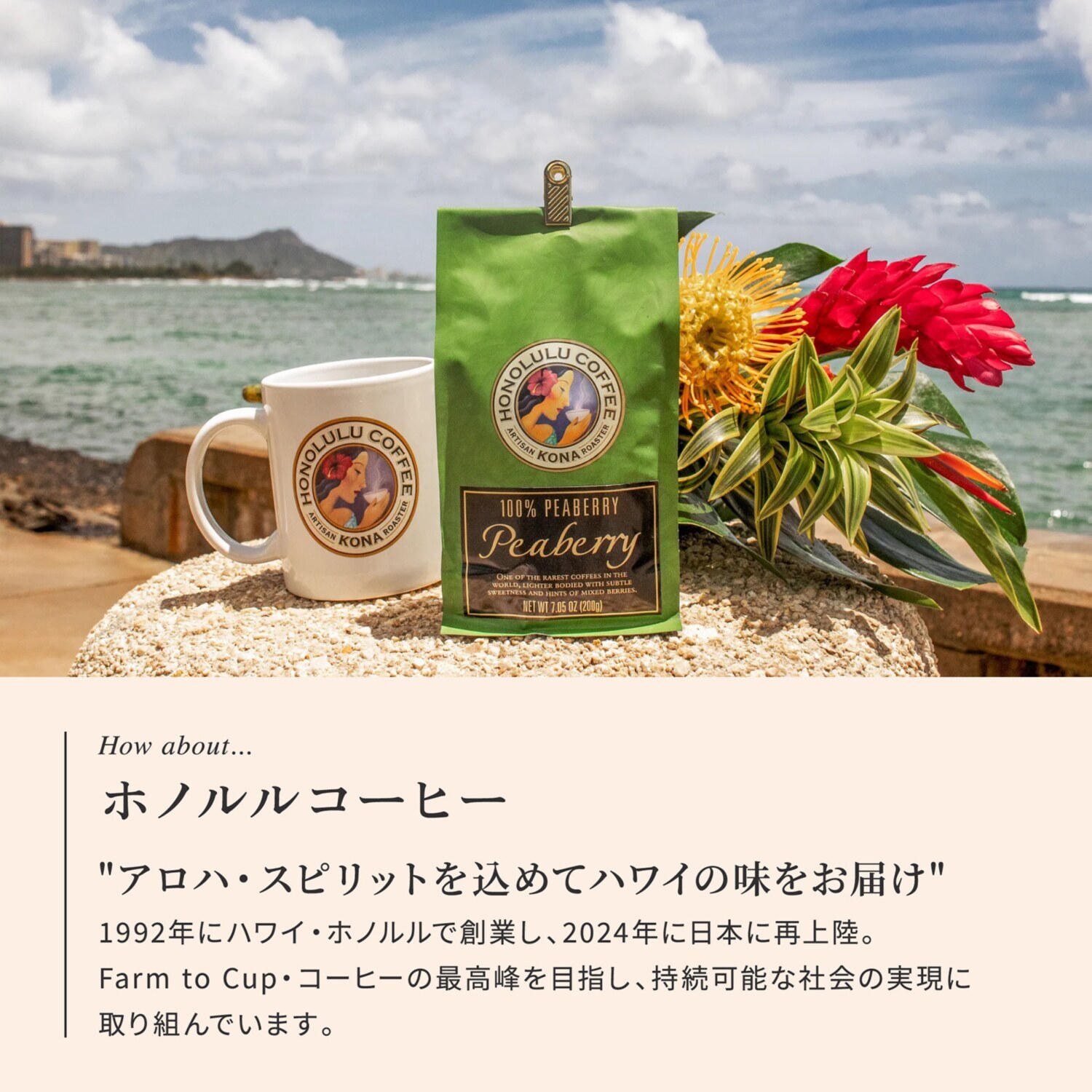 キューリグ Ｋカップ ＜ホノルルコーヒー 　アロハブレンド＞