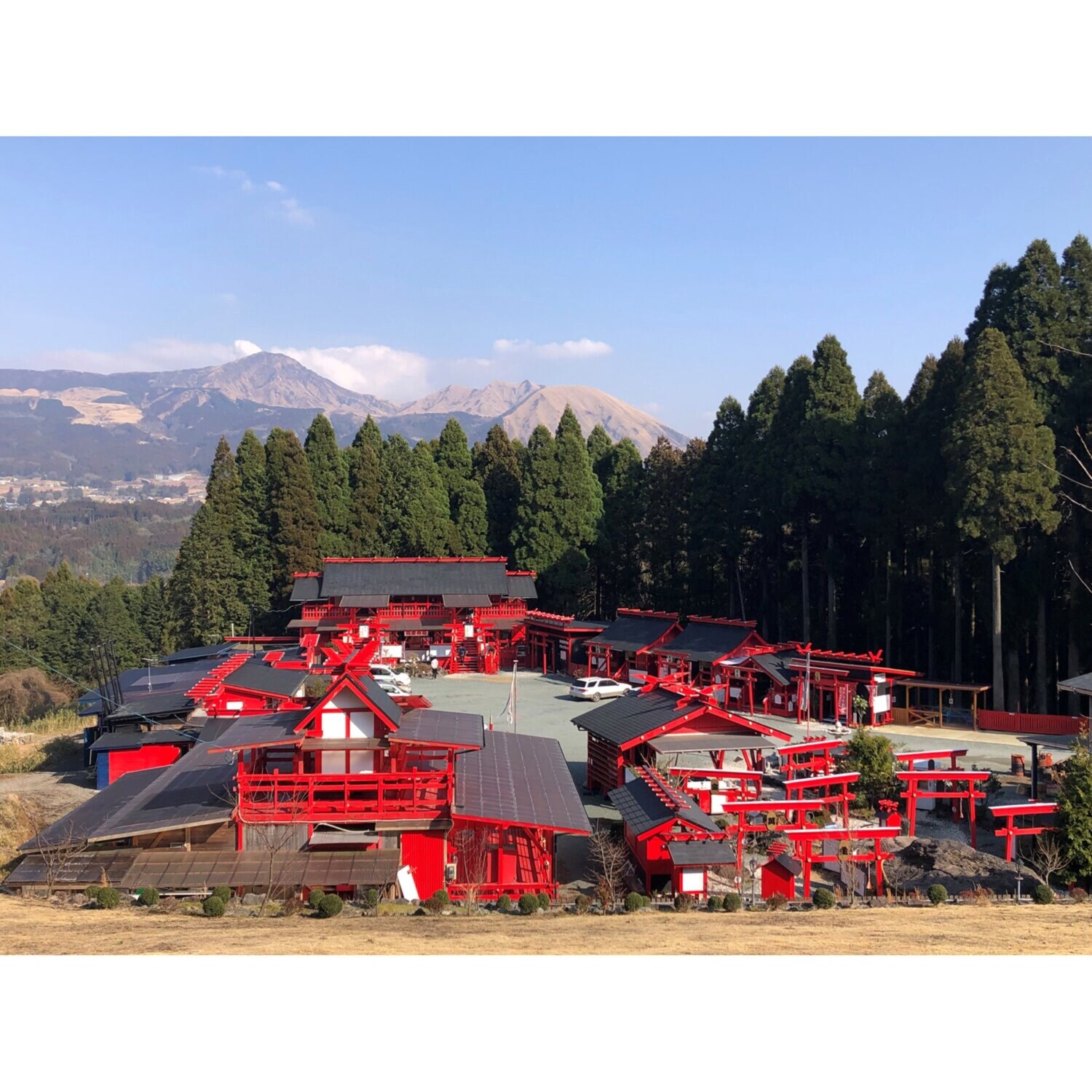 たまふり屋 宝来宝来神社御祈祷 金運祈願の永世木彫り鏡餅 ＜小＞