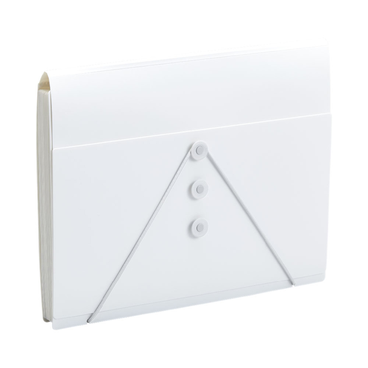 サクッと整理！ ドキュメントファイル 選べる２個セット ＜フタ付タイプ＞